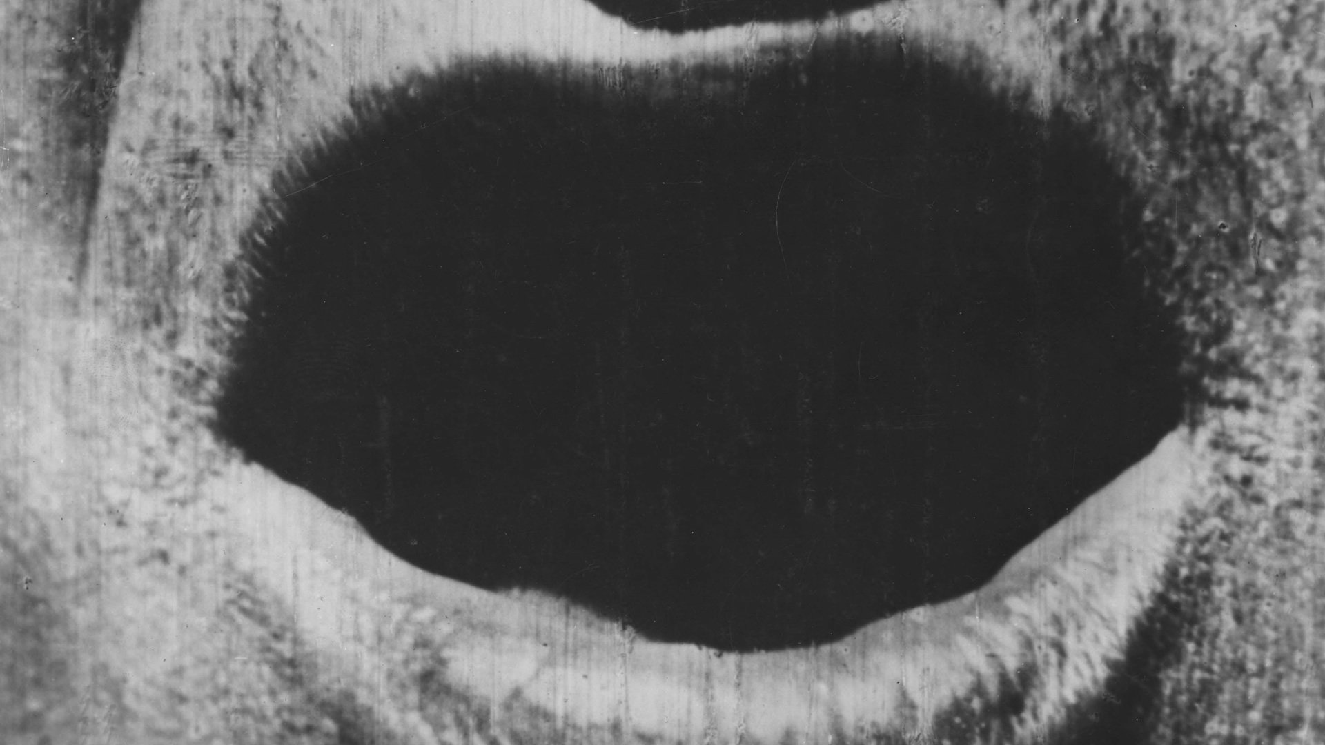 The Big Swallow Background