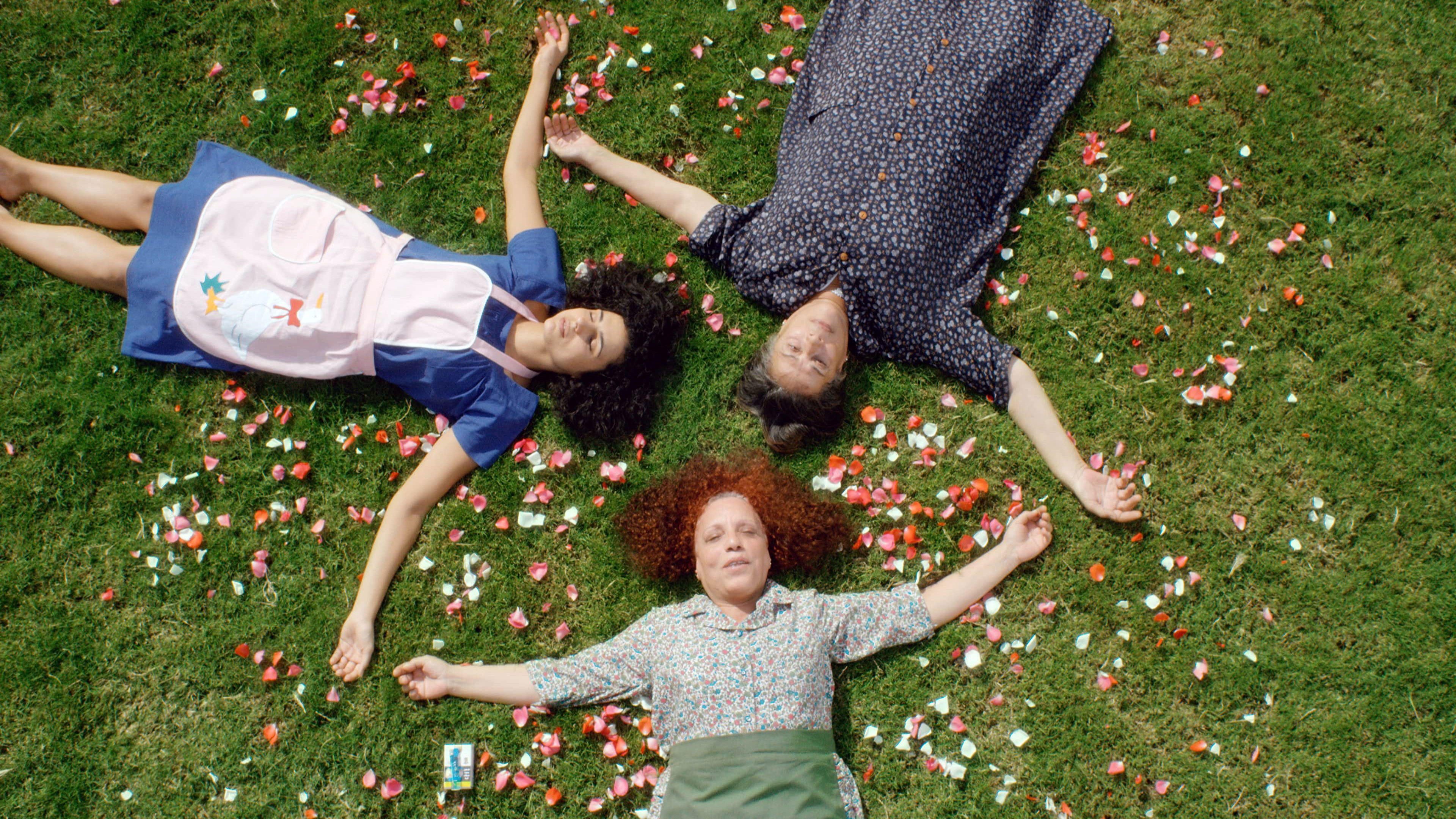 Cactus Flower Background