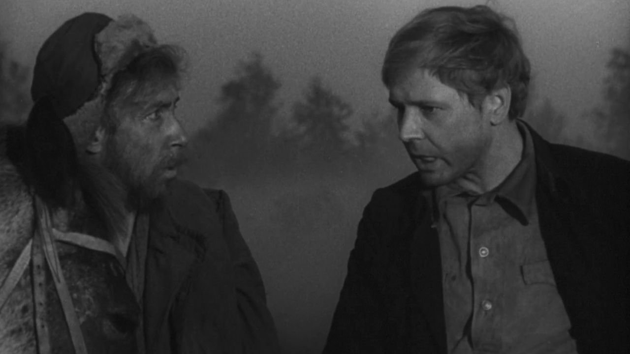 Wolves Pack Background