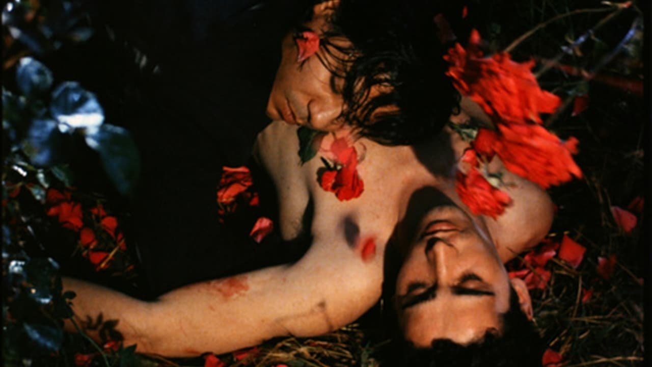 The Rose King Background