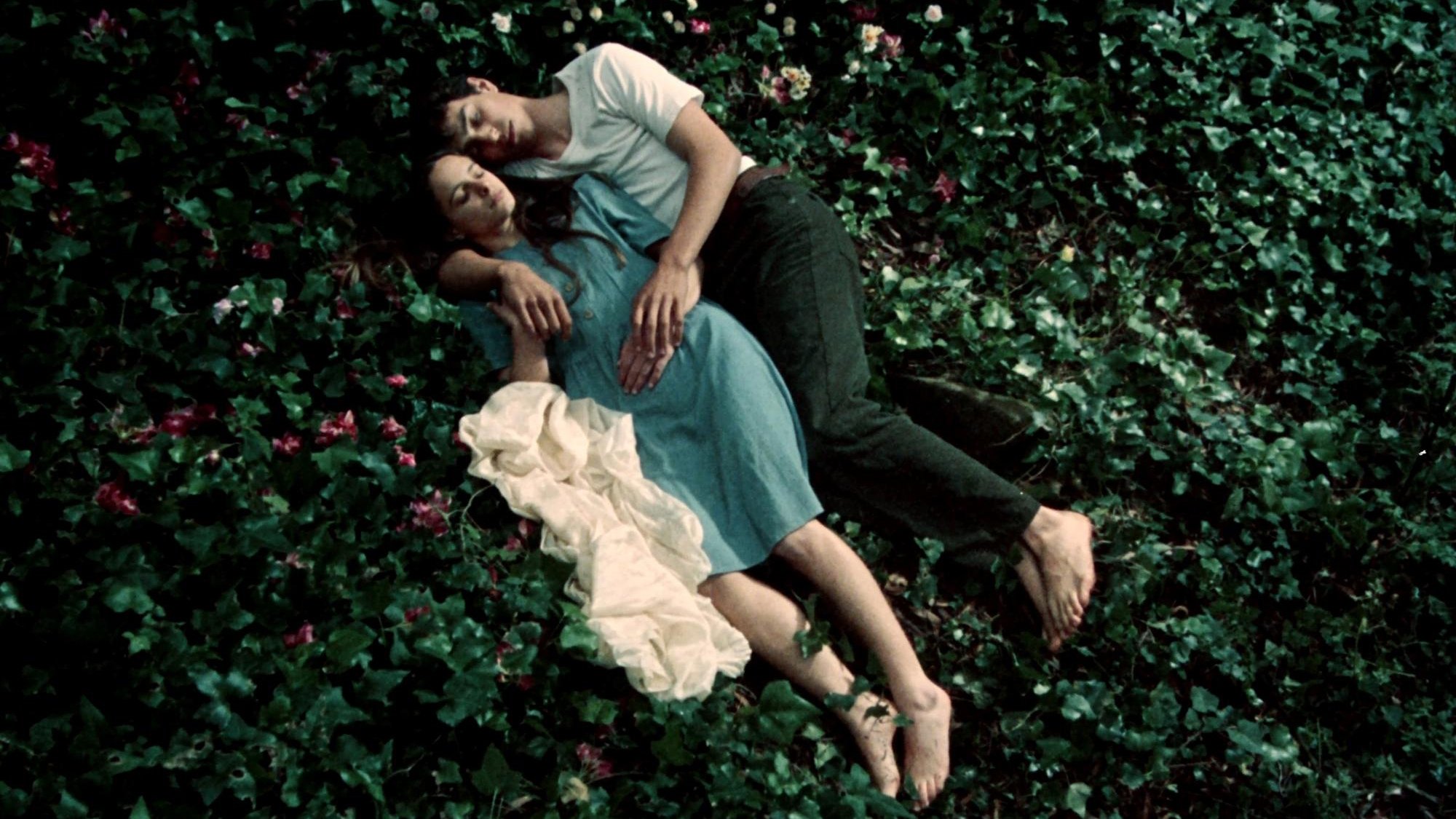 Fragile as the World Background