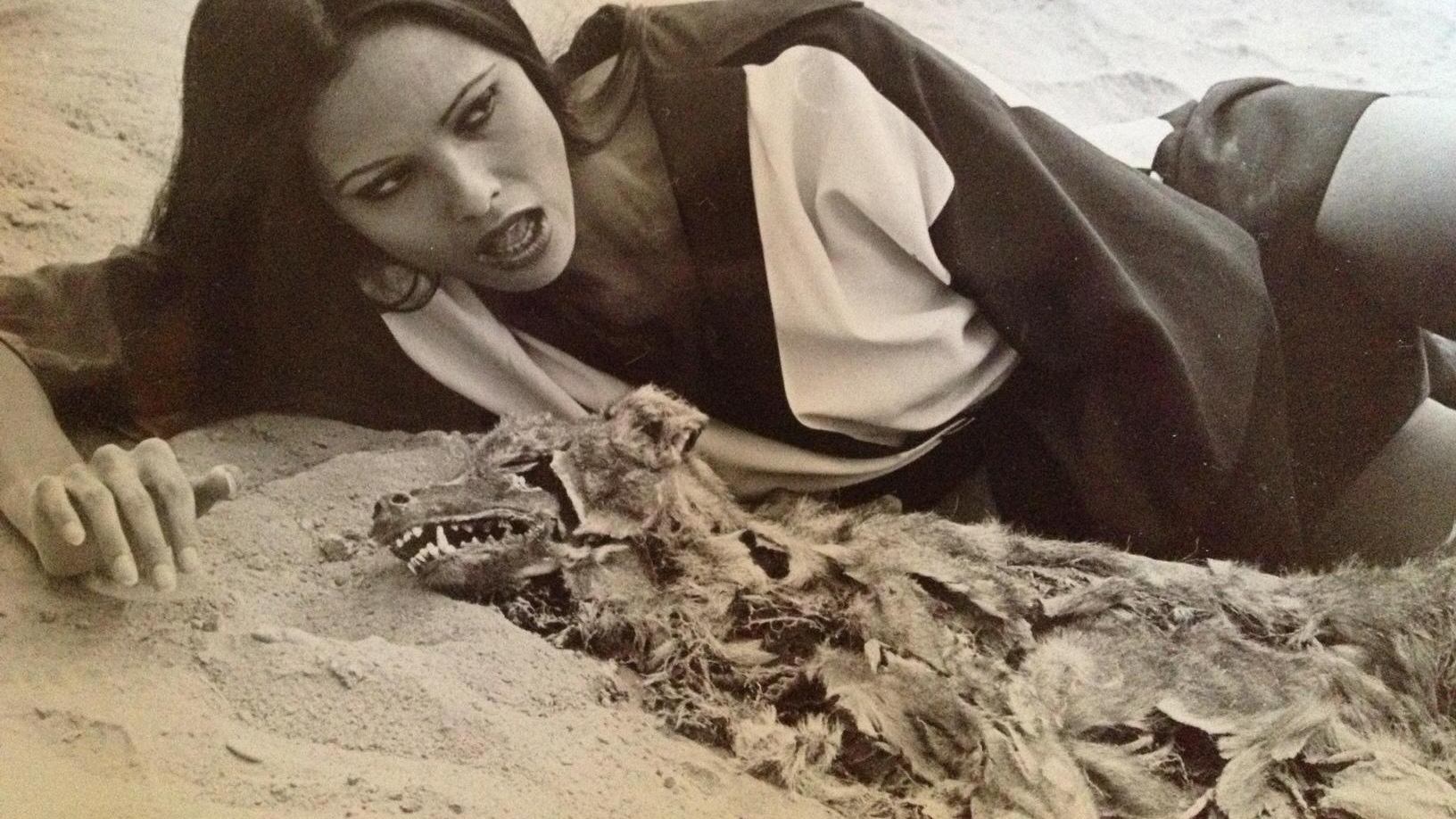 Black Velvet Background