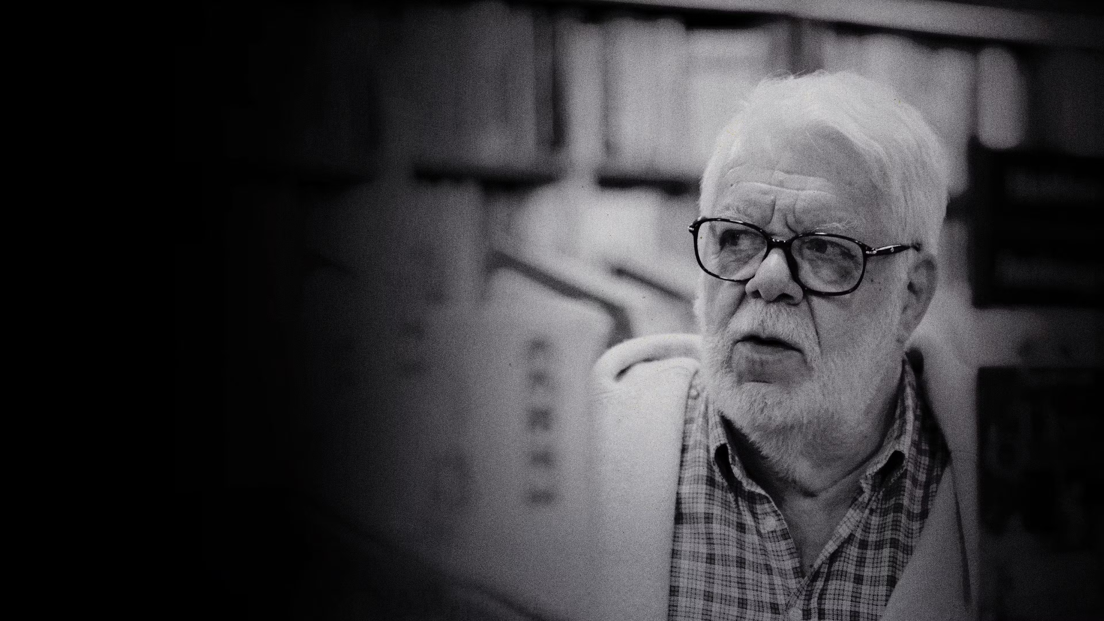 Tributo: Manoel Carlos Background