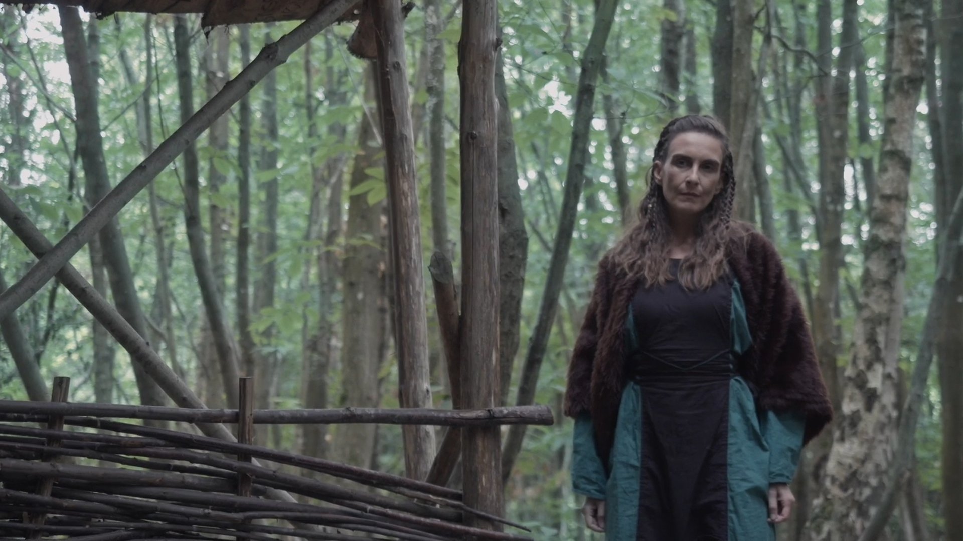 Viking: Bloodlust Background