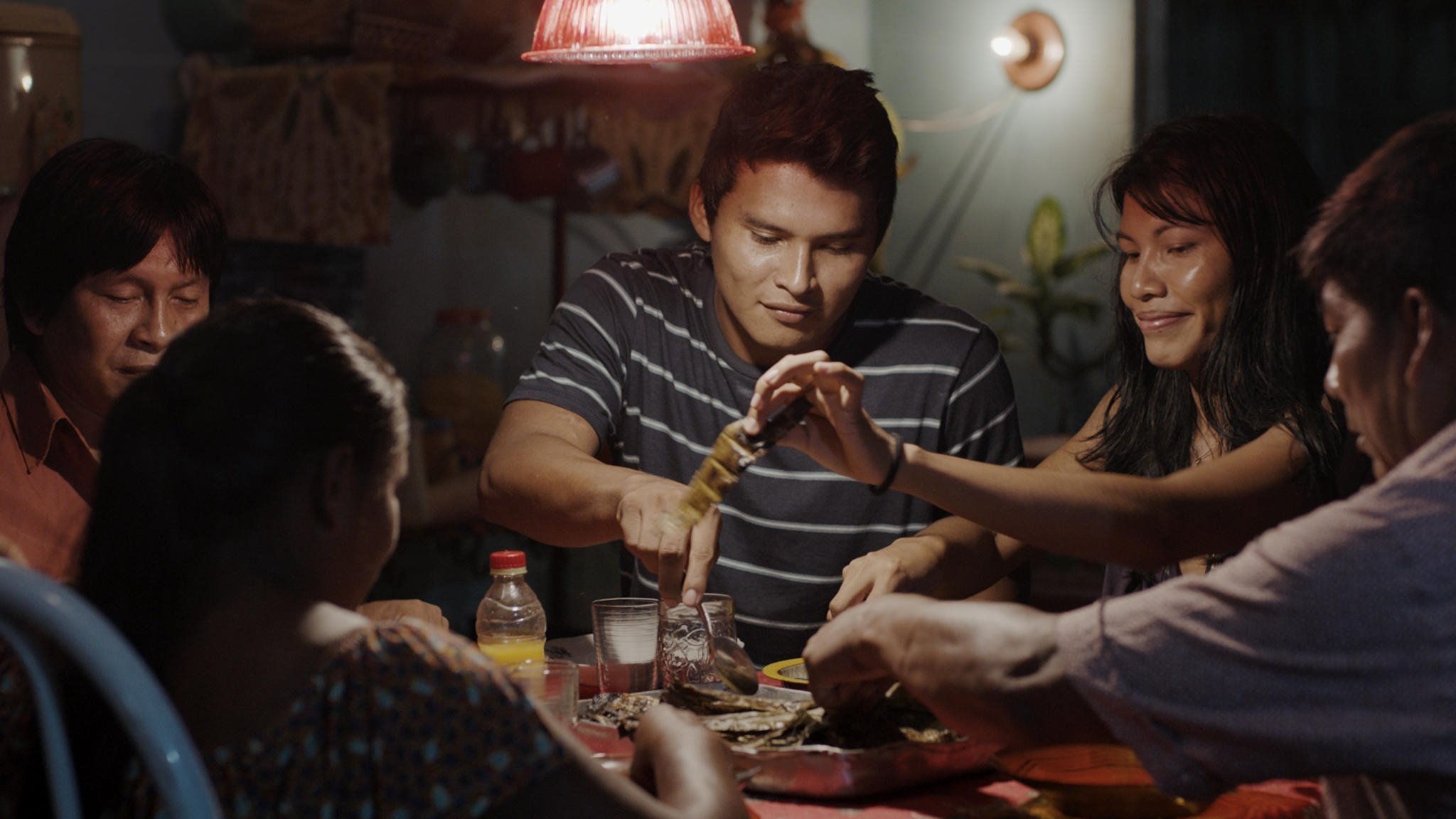 The Fever Background