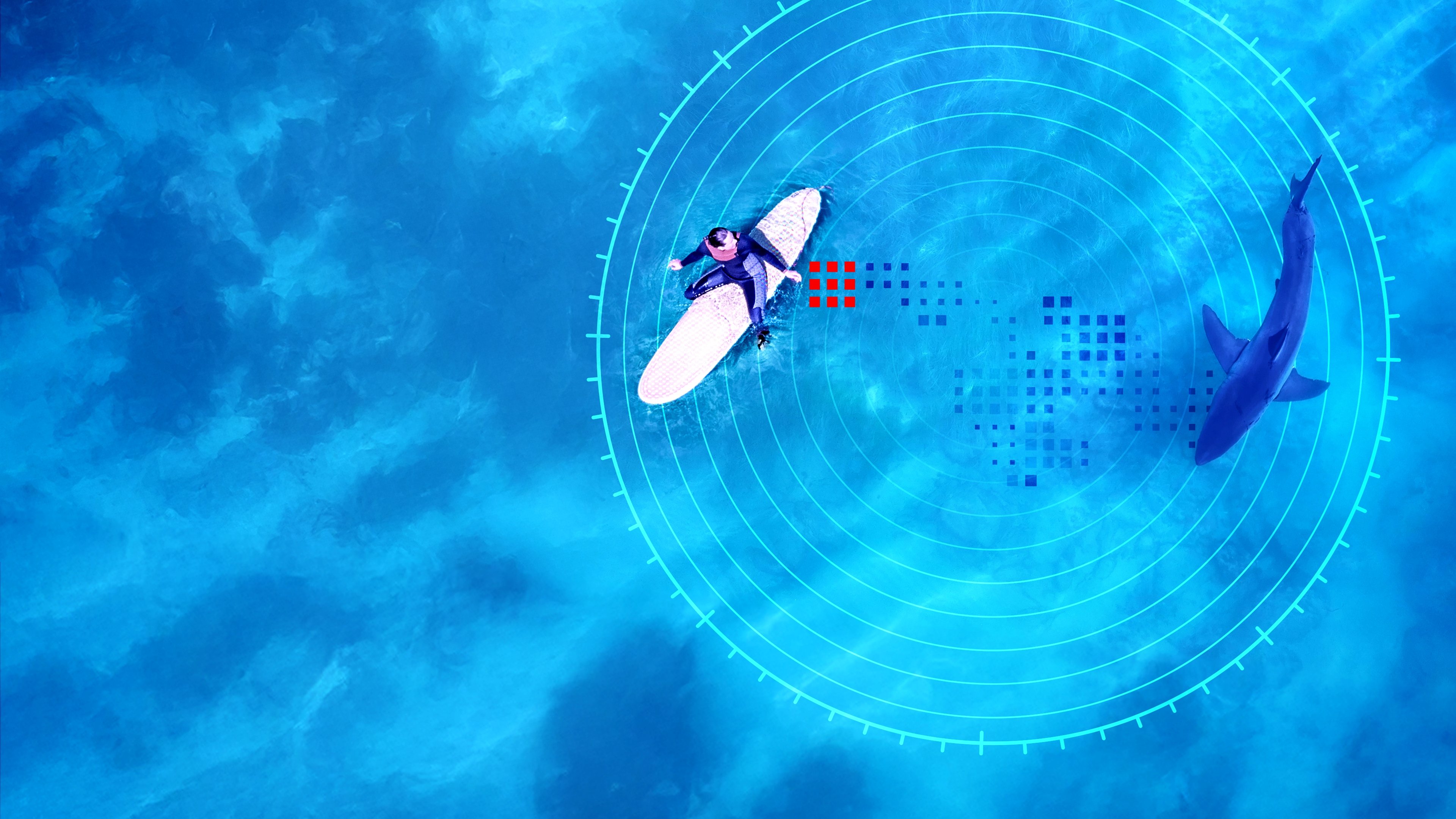 Investigation Shark Attack Background