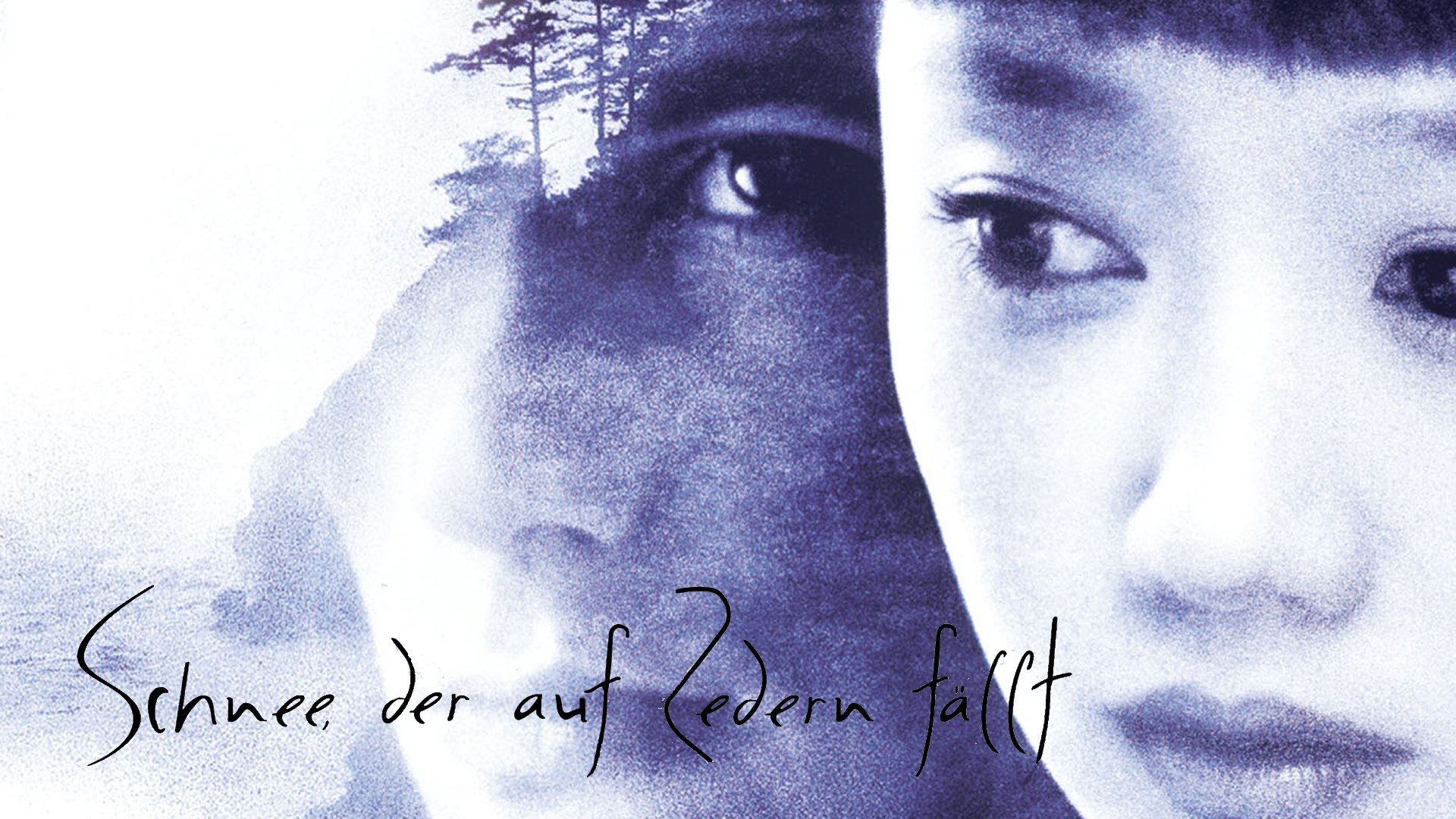 Snow Falling on Cedars Background