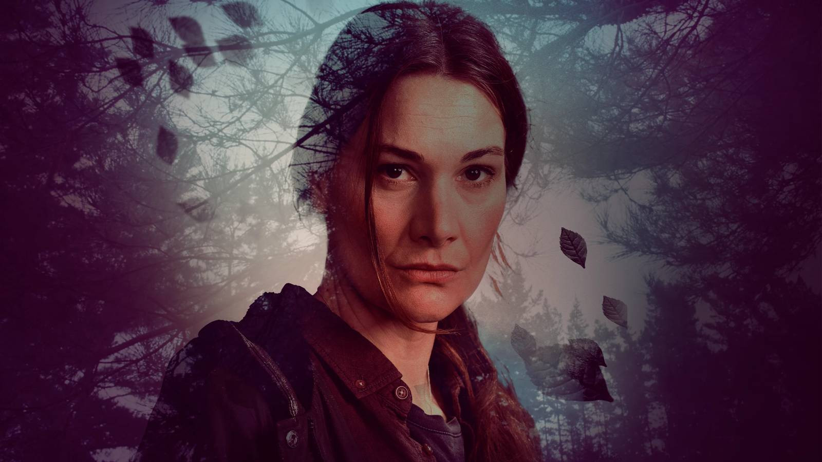 Donkerbos Background