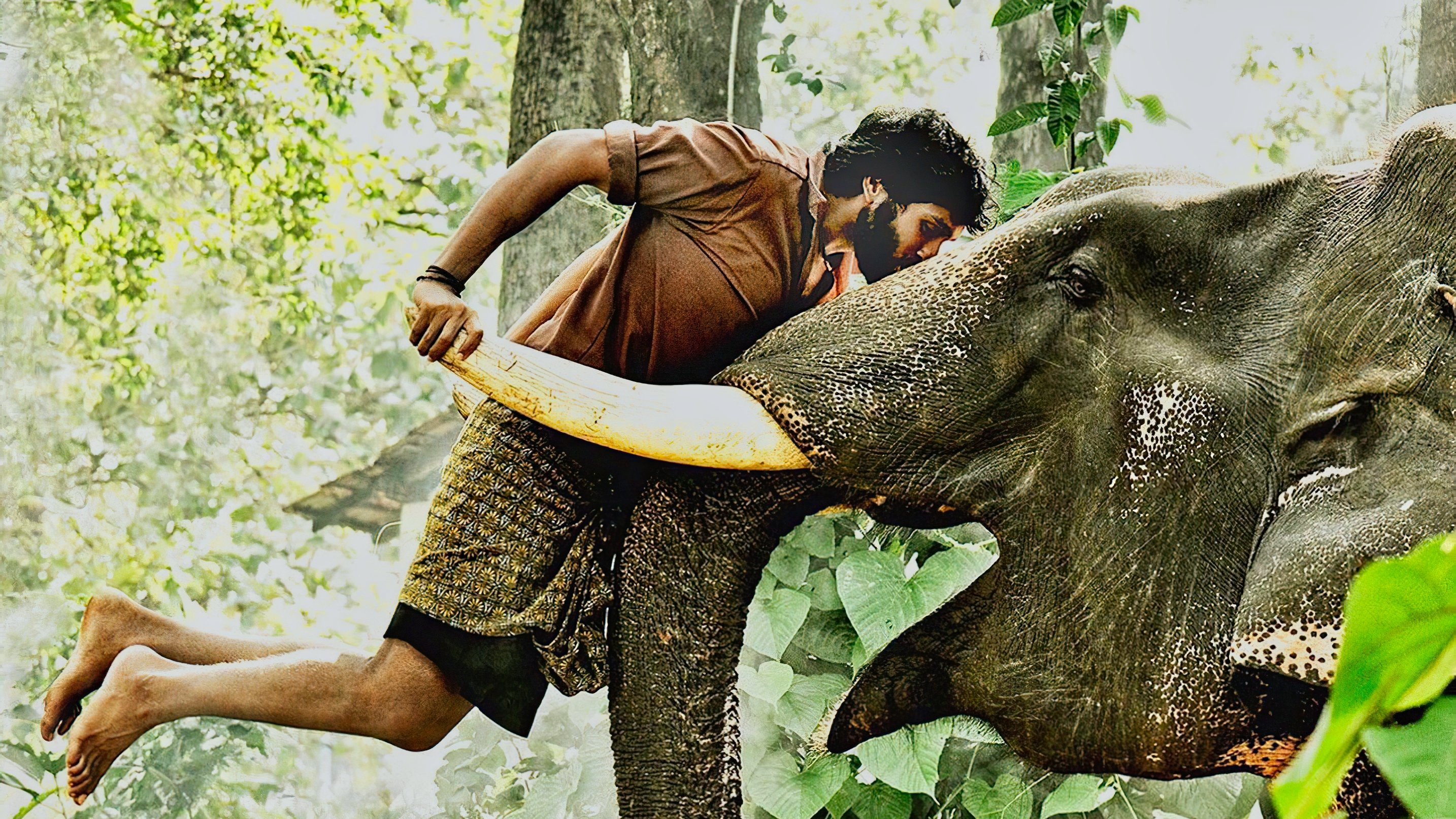 Kumki Background