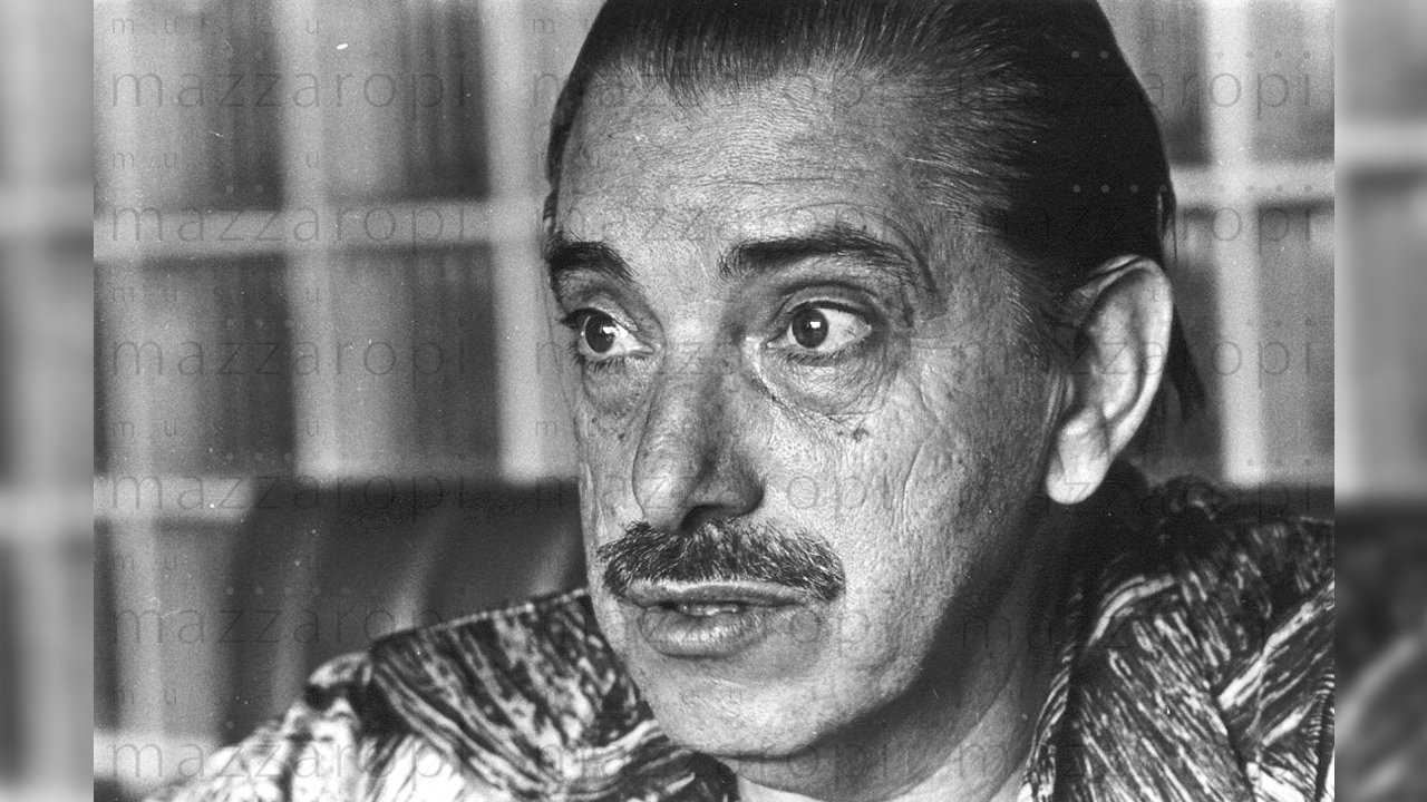 Meu Japão Brasileiro Background