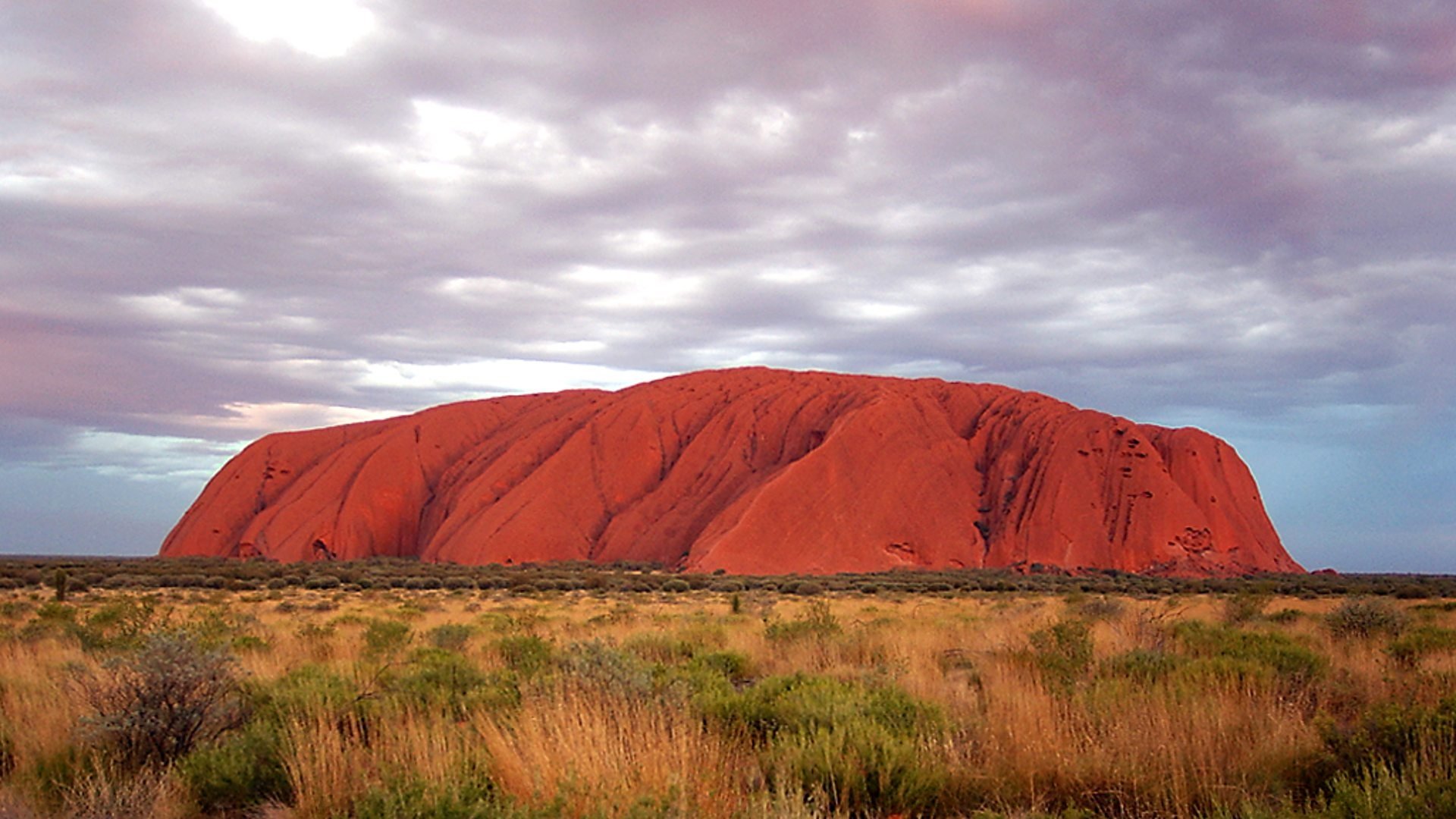 Wild Down Under Background