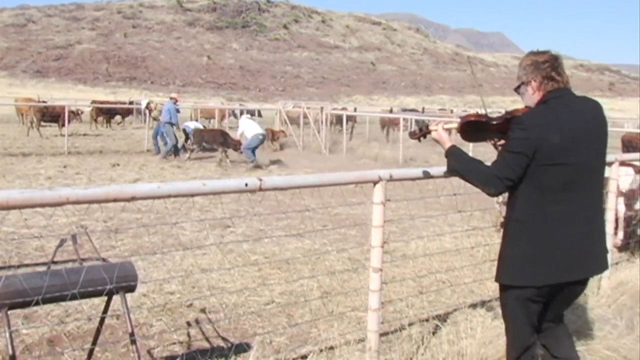 Star Whackers Background