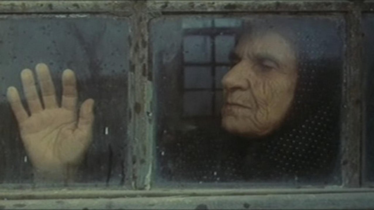 Still Life Background