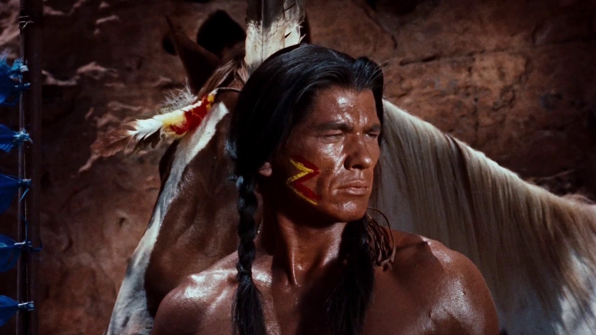 Run of the Arrow Background