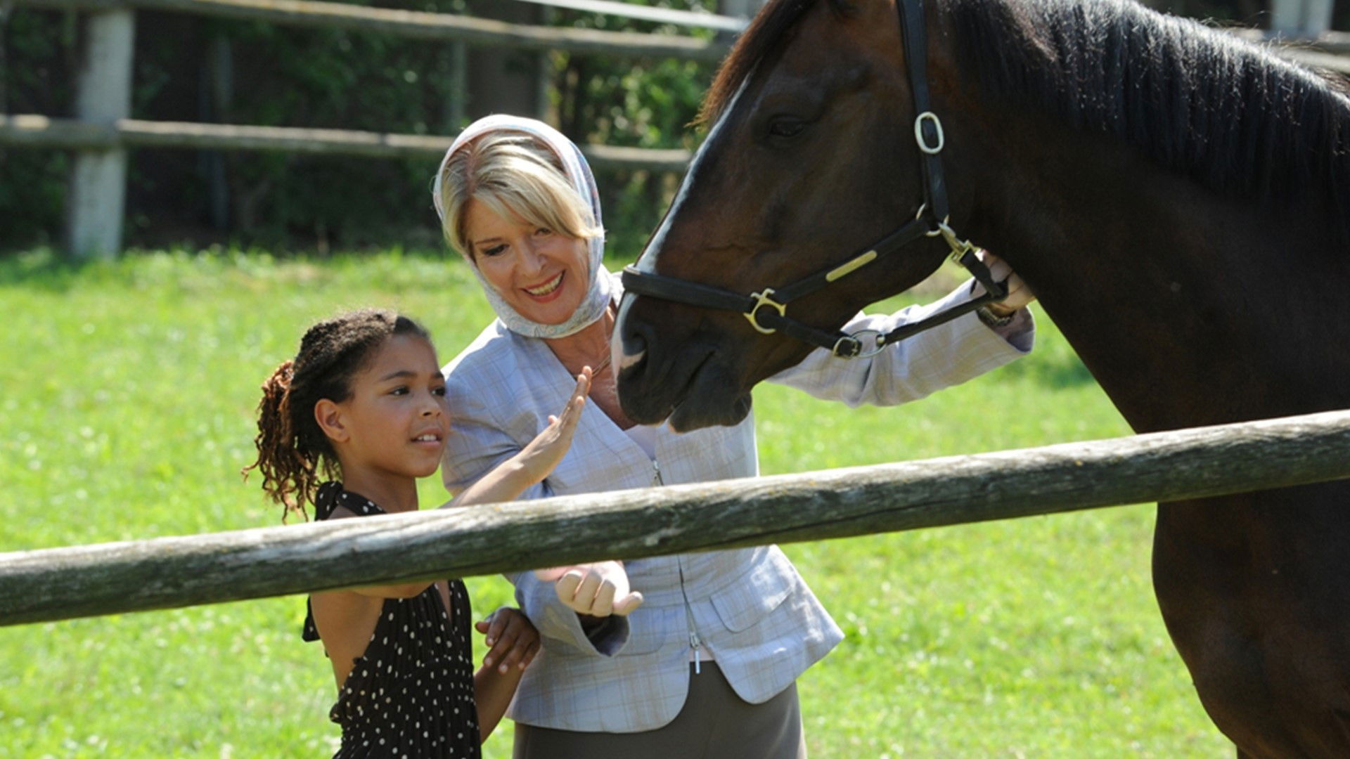 Oma wider Willen Background