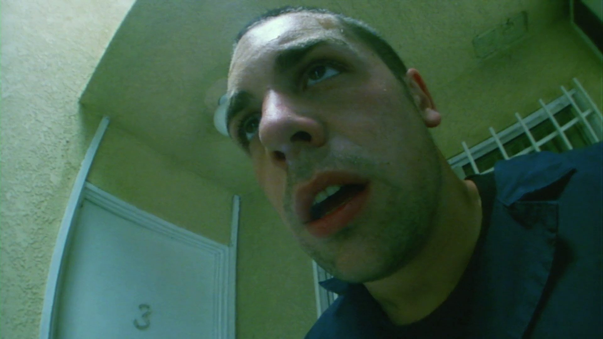 King of the Ants Background