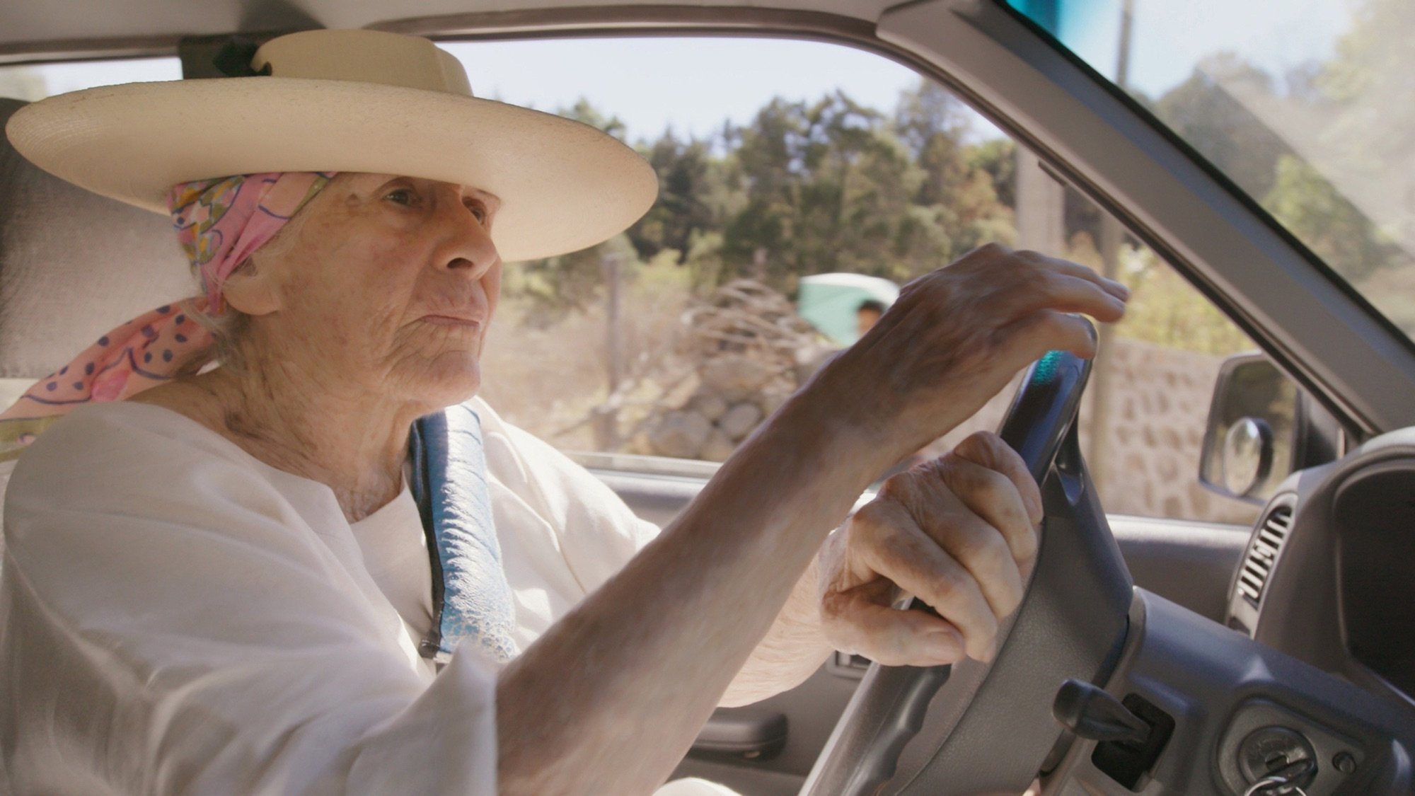 Diana Kennedy: Nothing Fancy Background