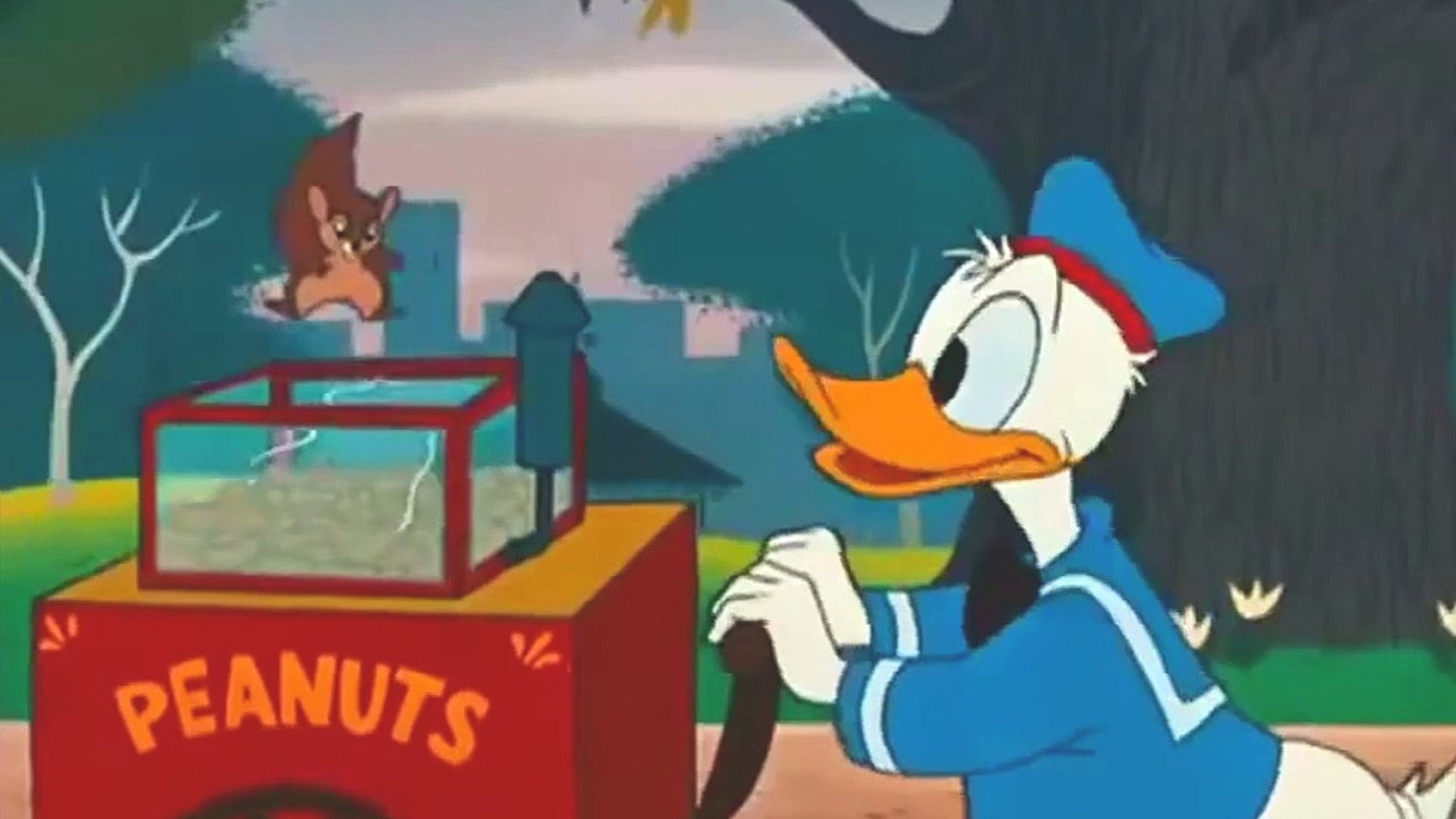 The Flying Squirrel Background