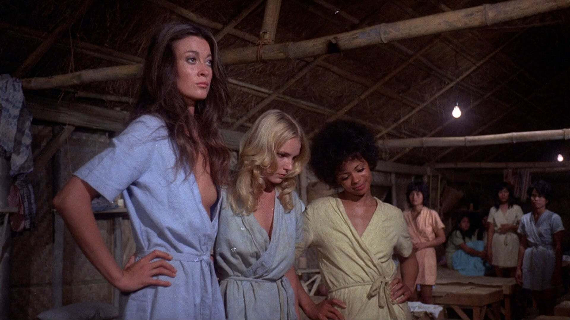 The Big Bird Cage Background