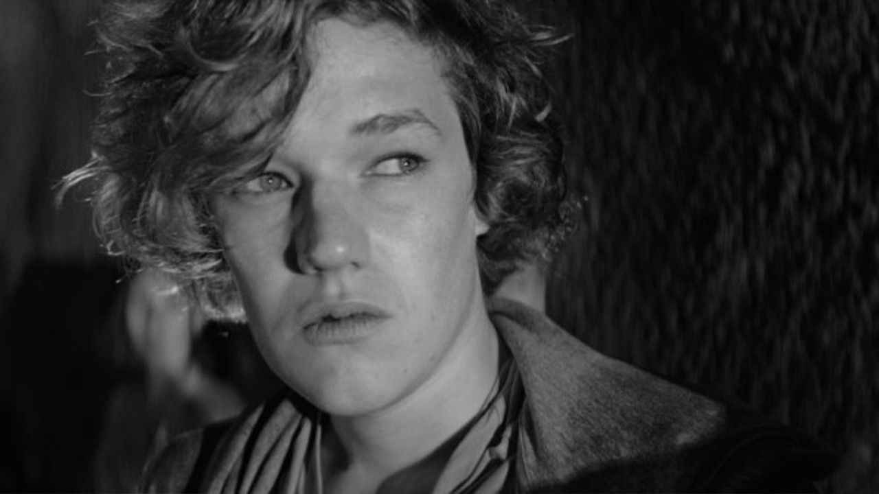 The Life Underground Background