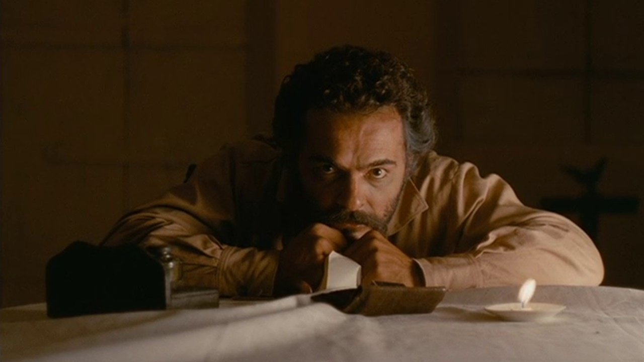 Saint Bernard Background