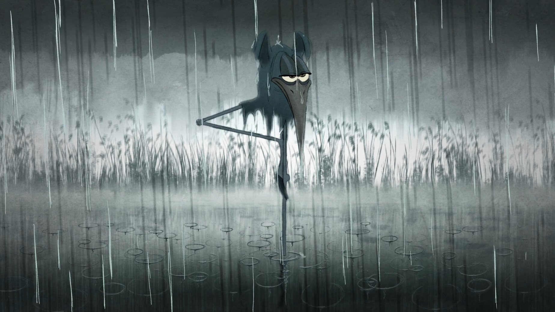 Bird Karma Background