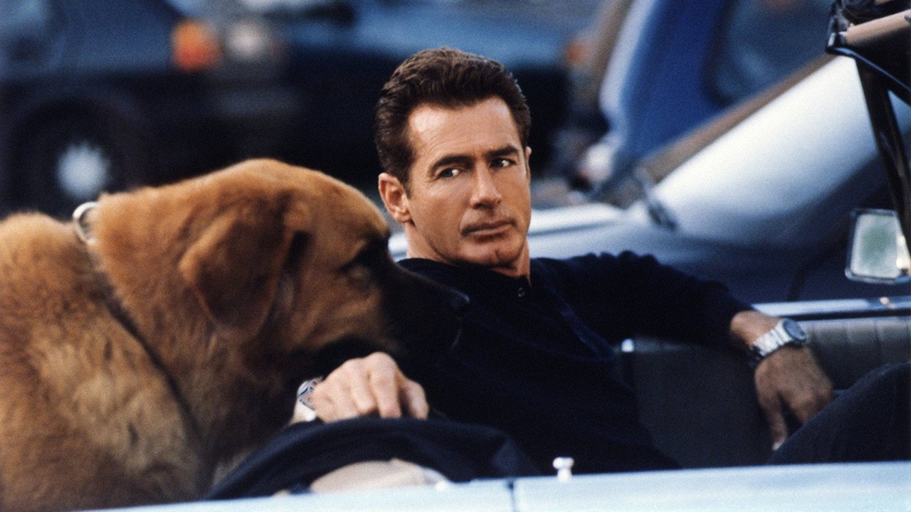 Tequila and Bonetti Background