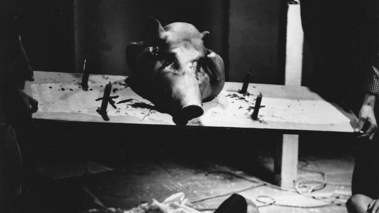 Mondo Freudo Background