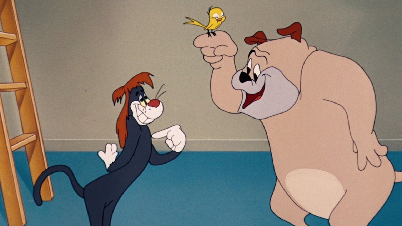 The Counterfeit Cat Background