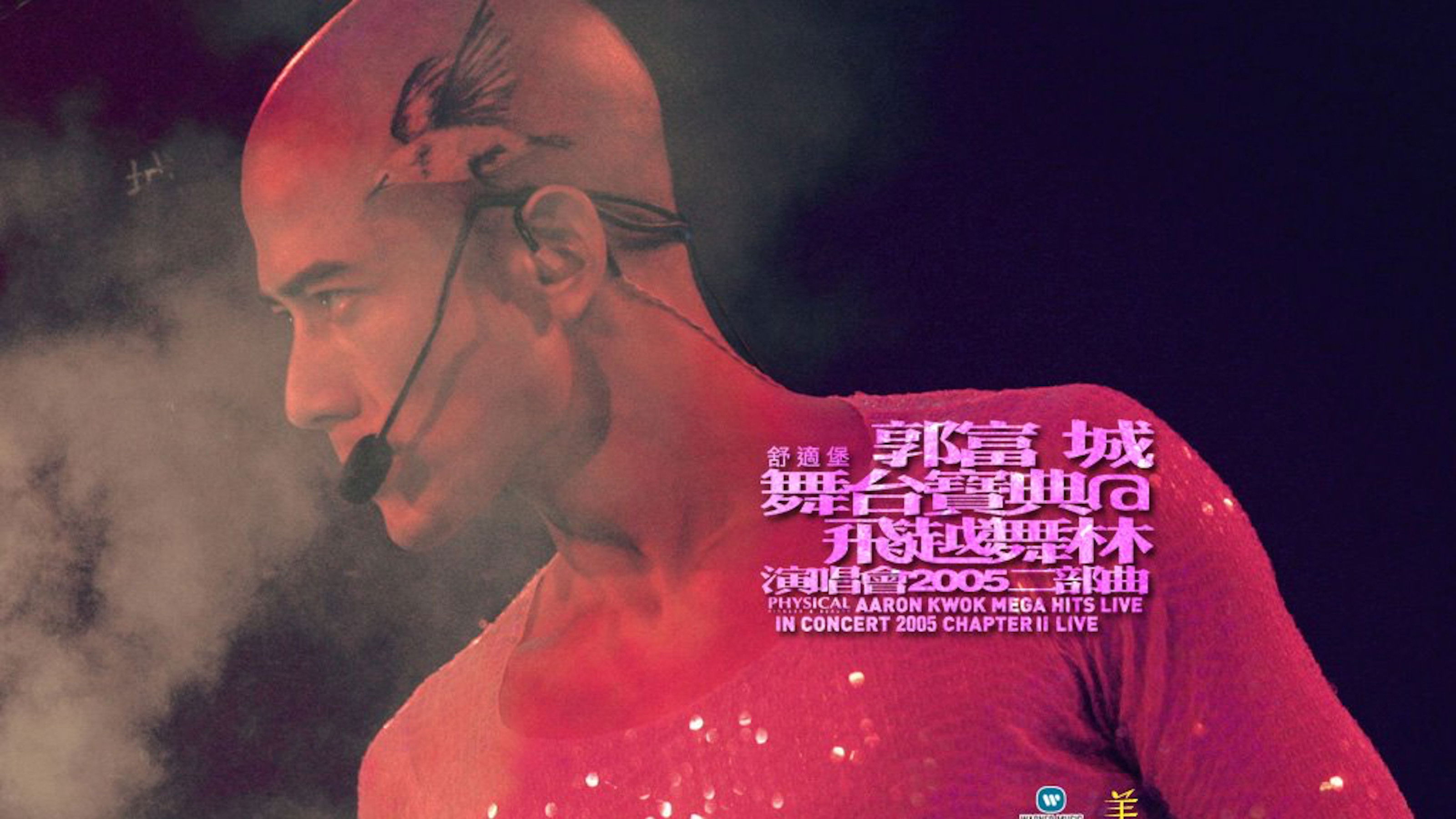 Aaron Kwok Mega Hits Live In Concert 2005 Chapter II Live Background