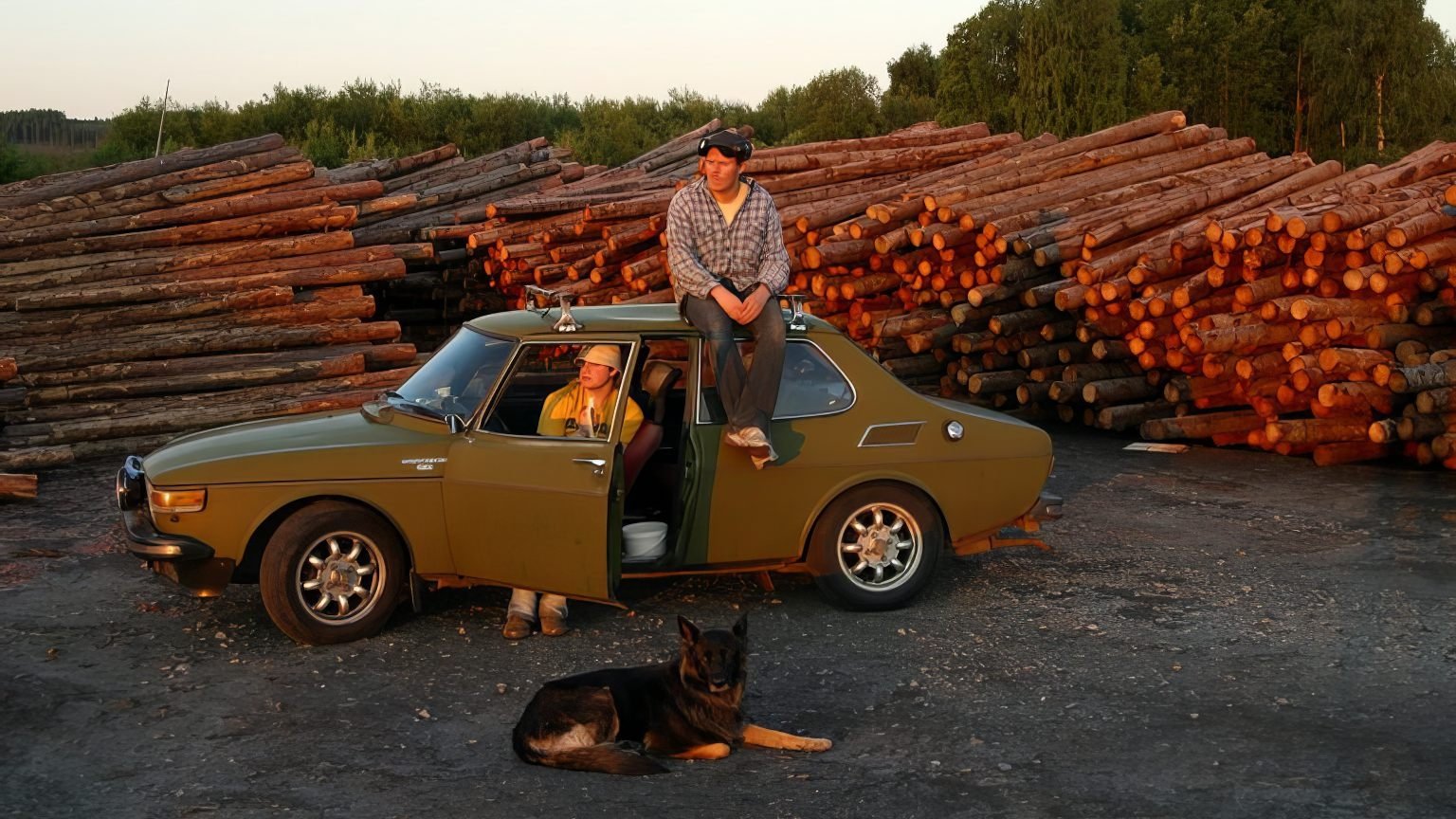 The Tree Lover Background