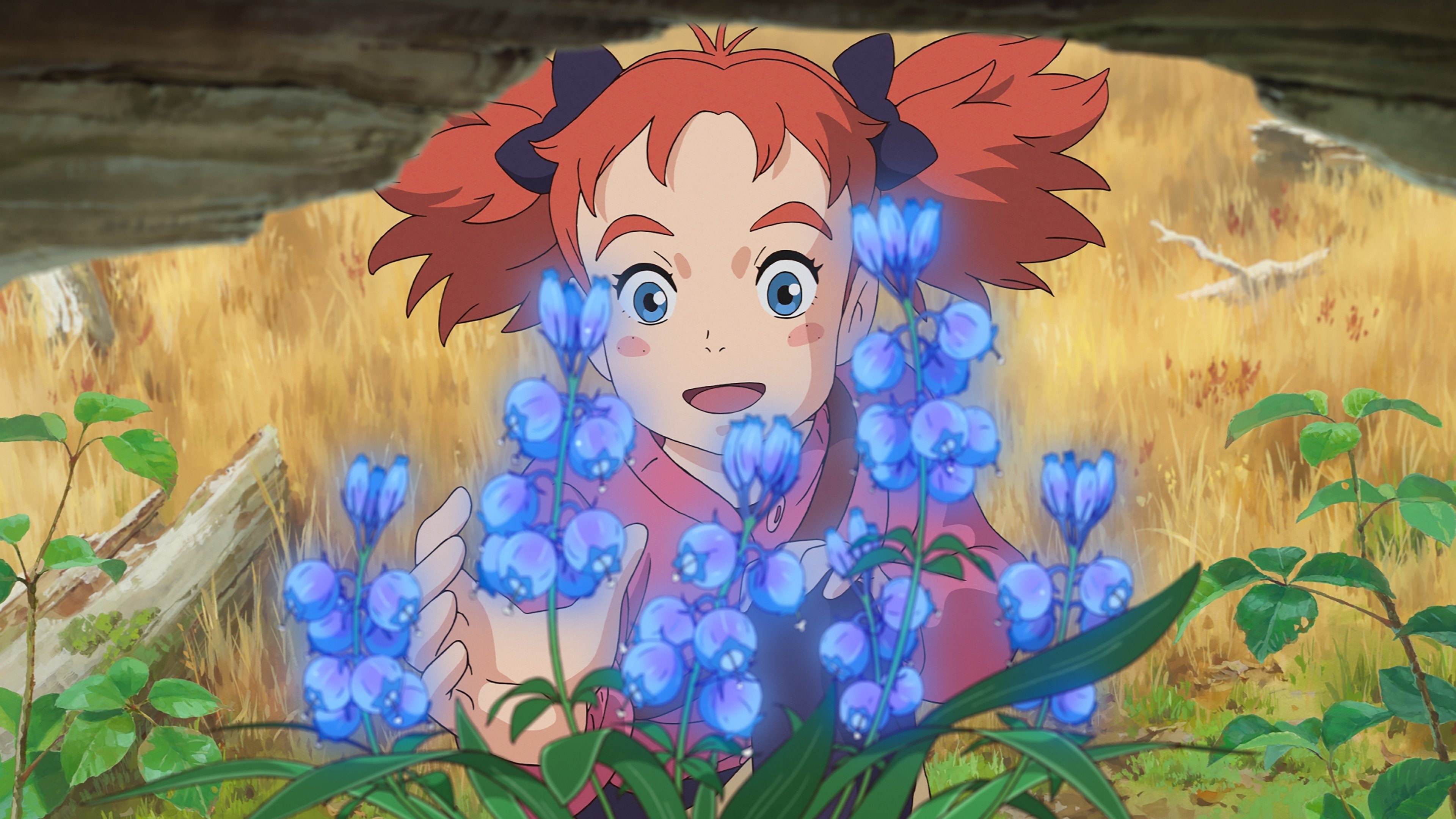 Mary and The Witch&#x27;s Flower Background