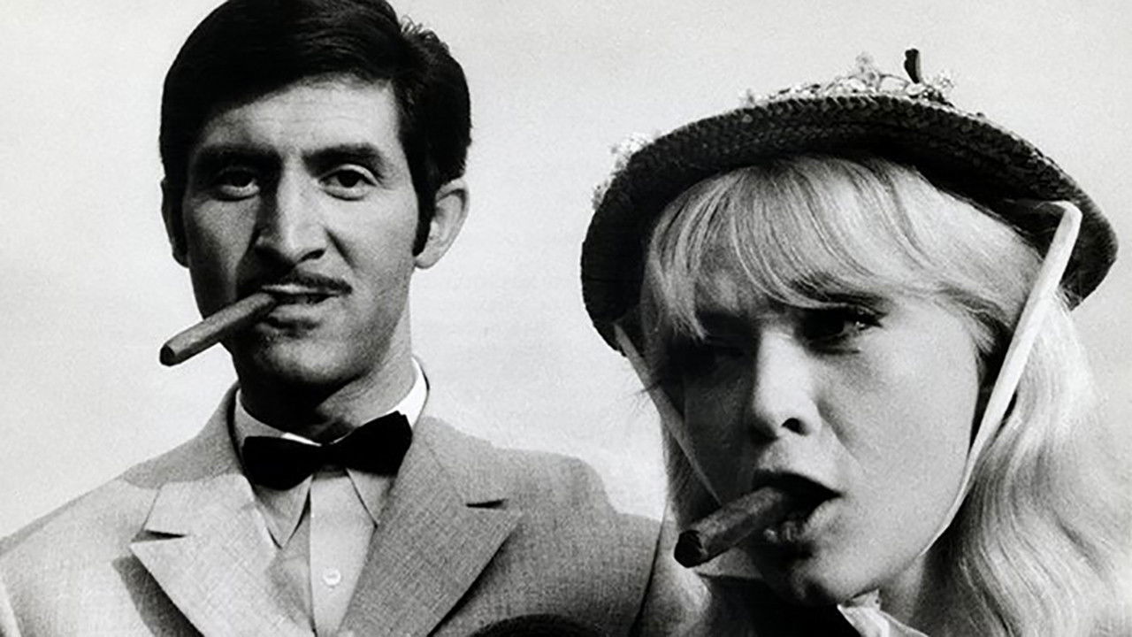 The Morning Background