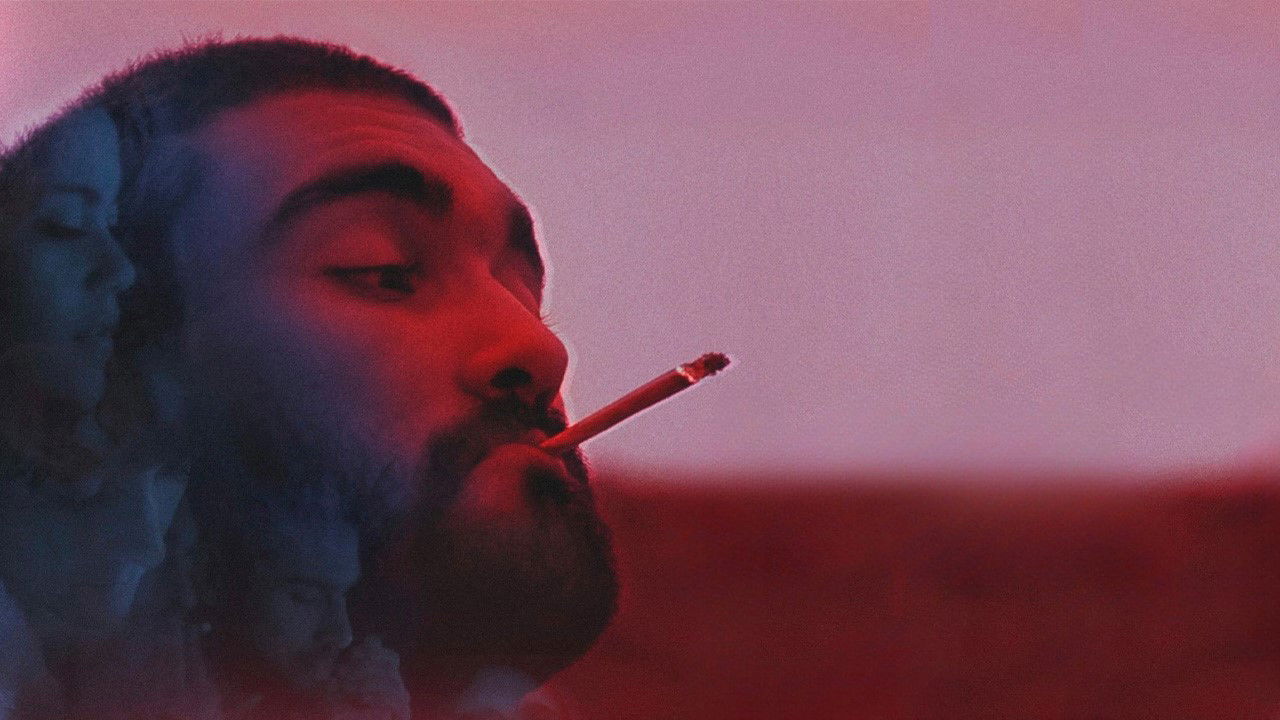 Damned Summer Background