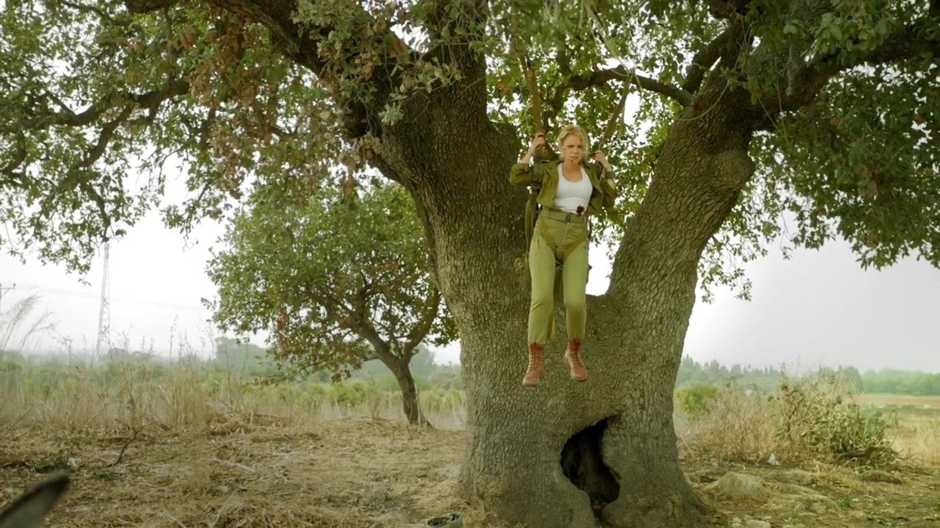 ABCs of Death 2 Background