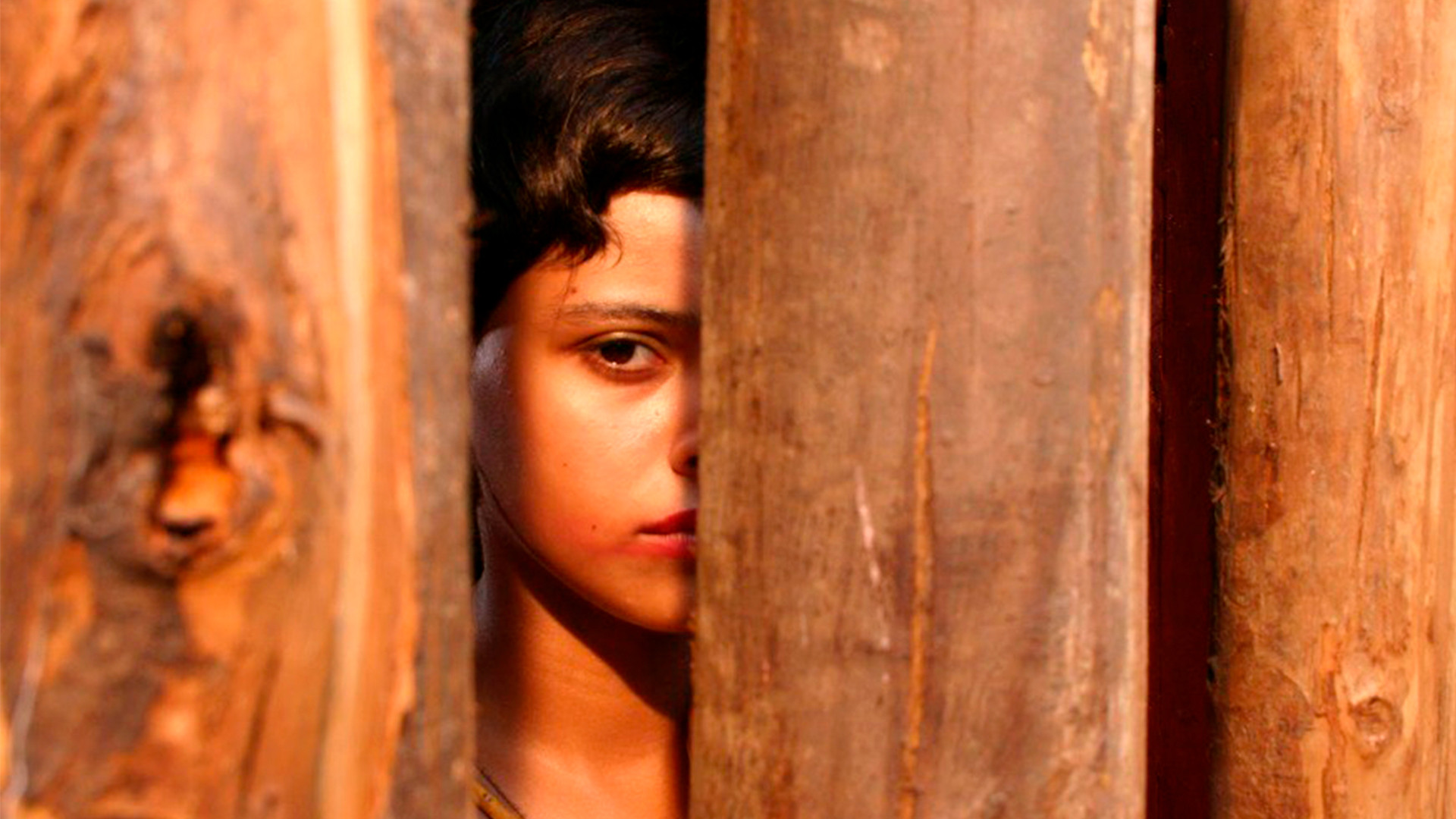 Angels of the Sun Background