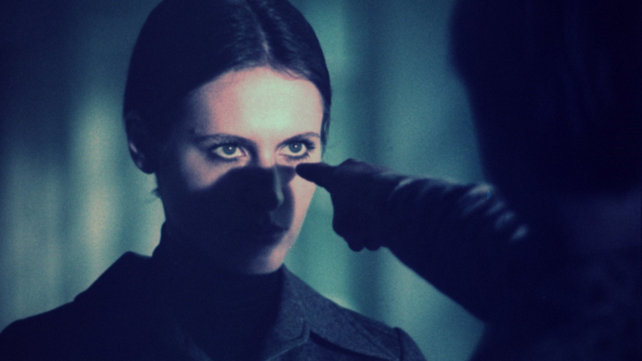 A Strip of Uncut Wild Flowers Background