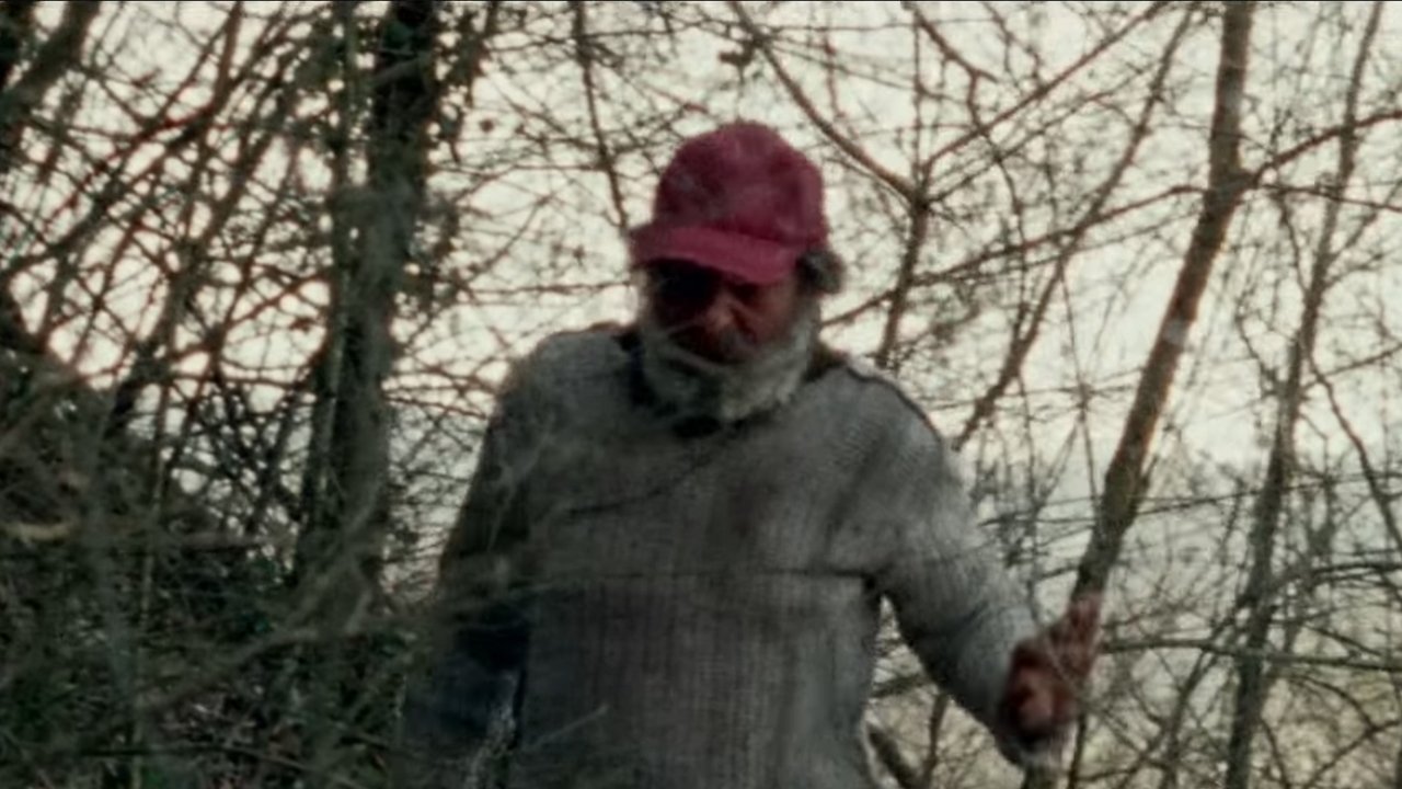 Il solengo Background