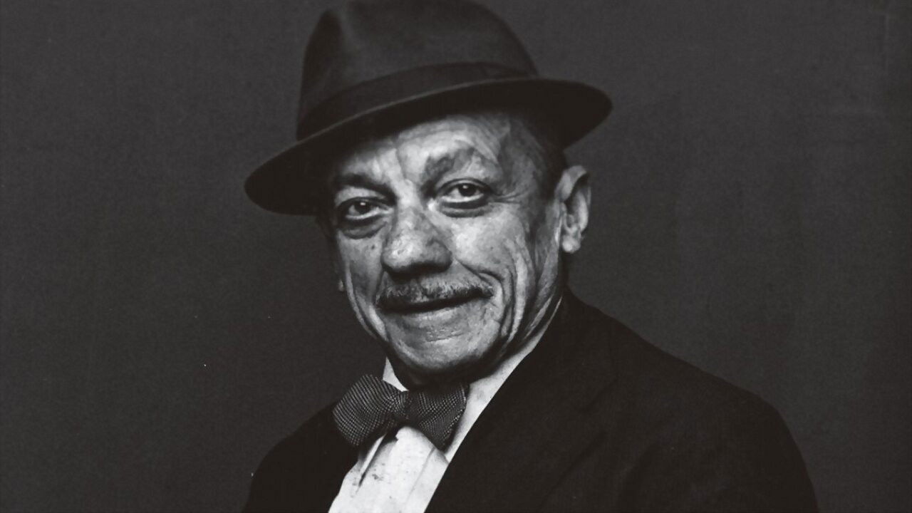 Adoniran - Meu Nome é João Rubinato Background