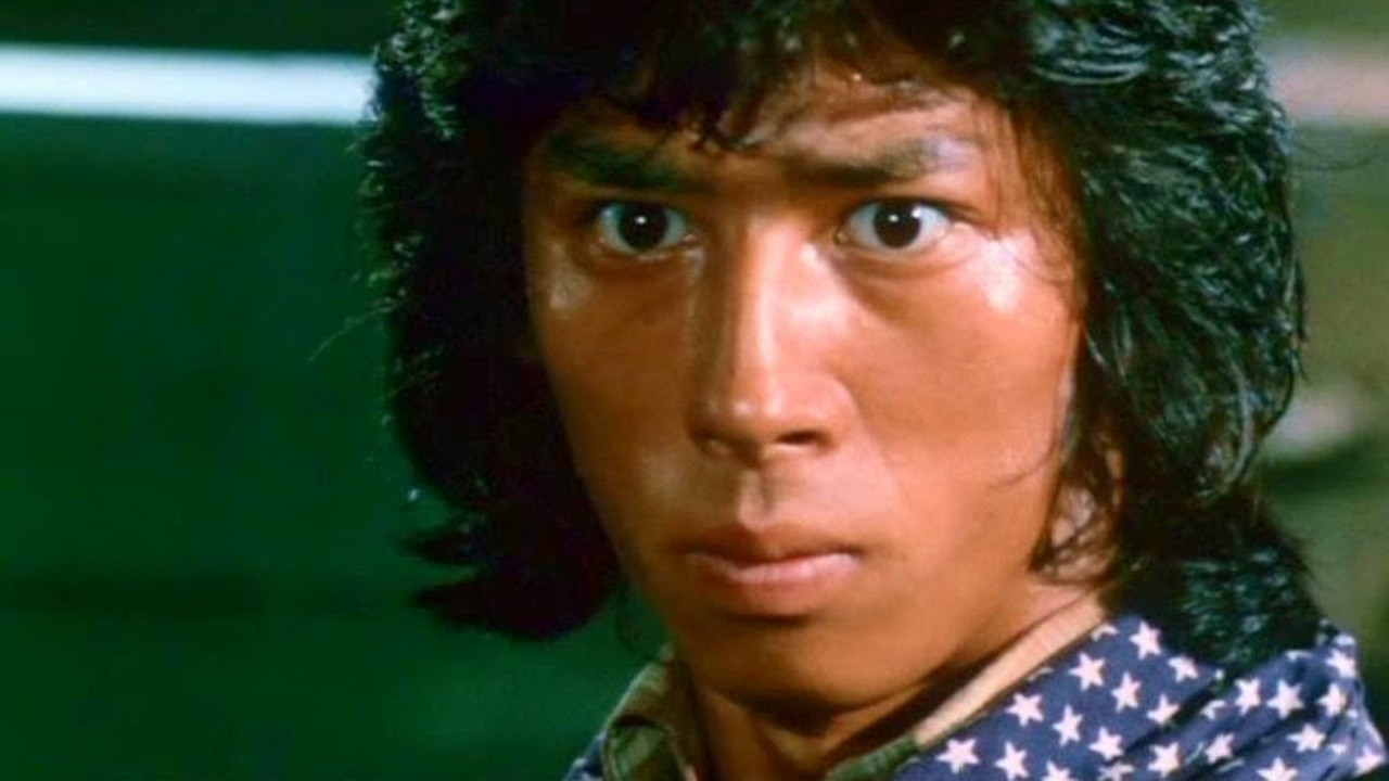 Roaring Fire Background