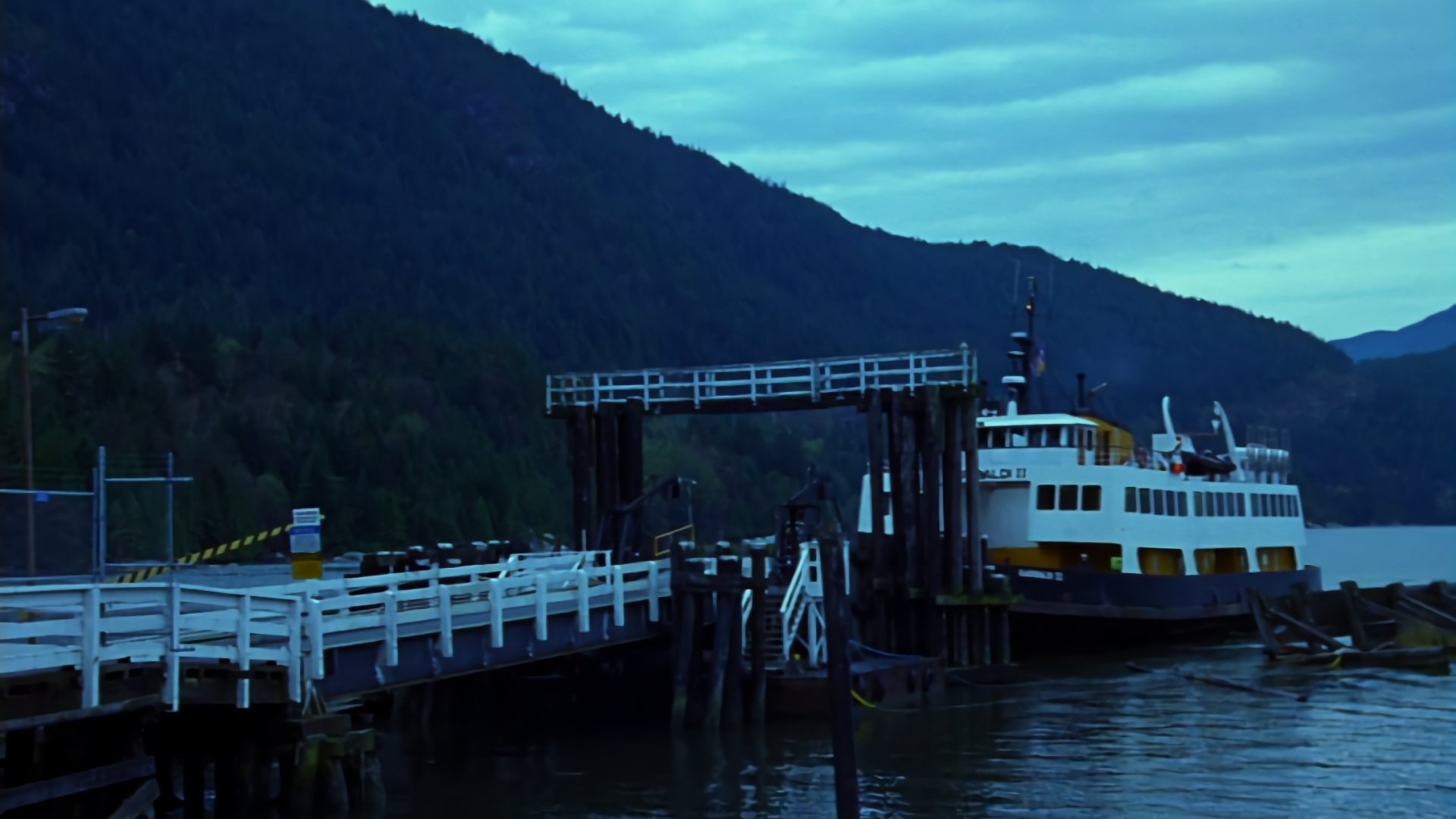 They Nest Background