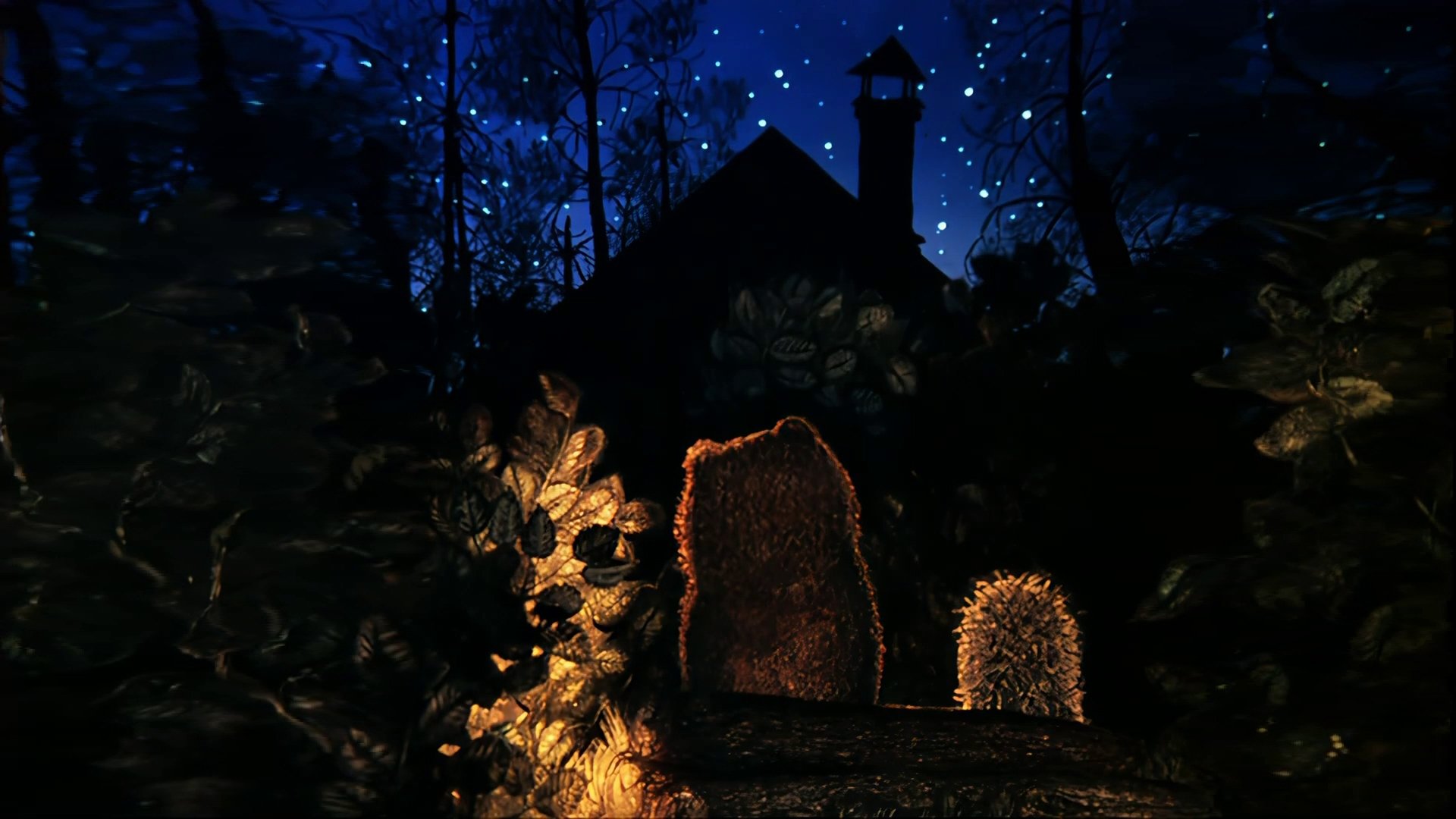 Hedgehog in the Fog Background