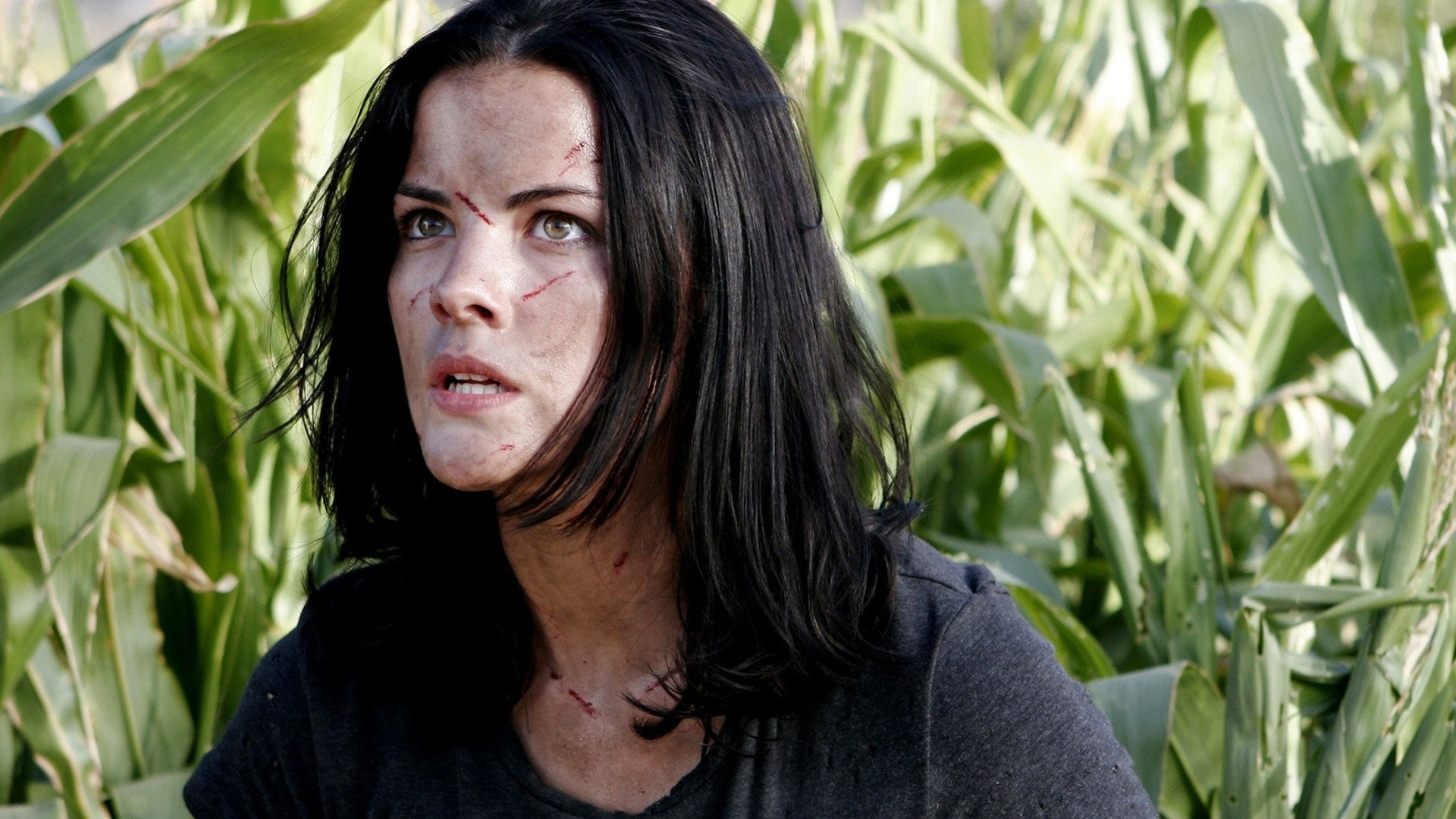 Hallowed Ground Background