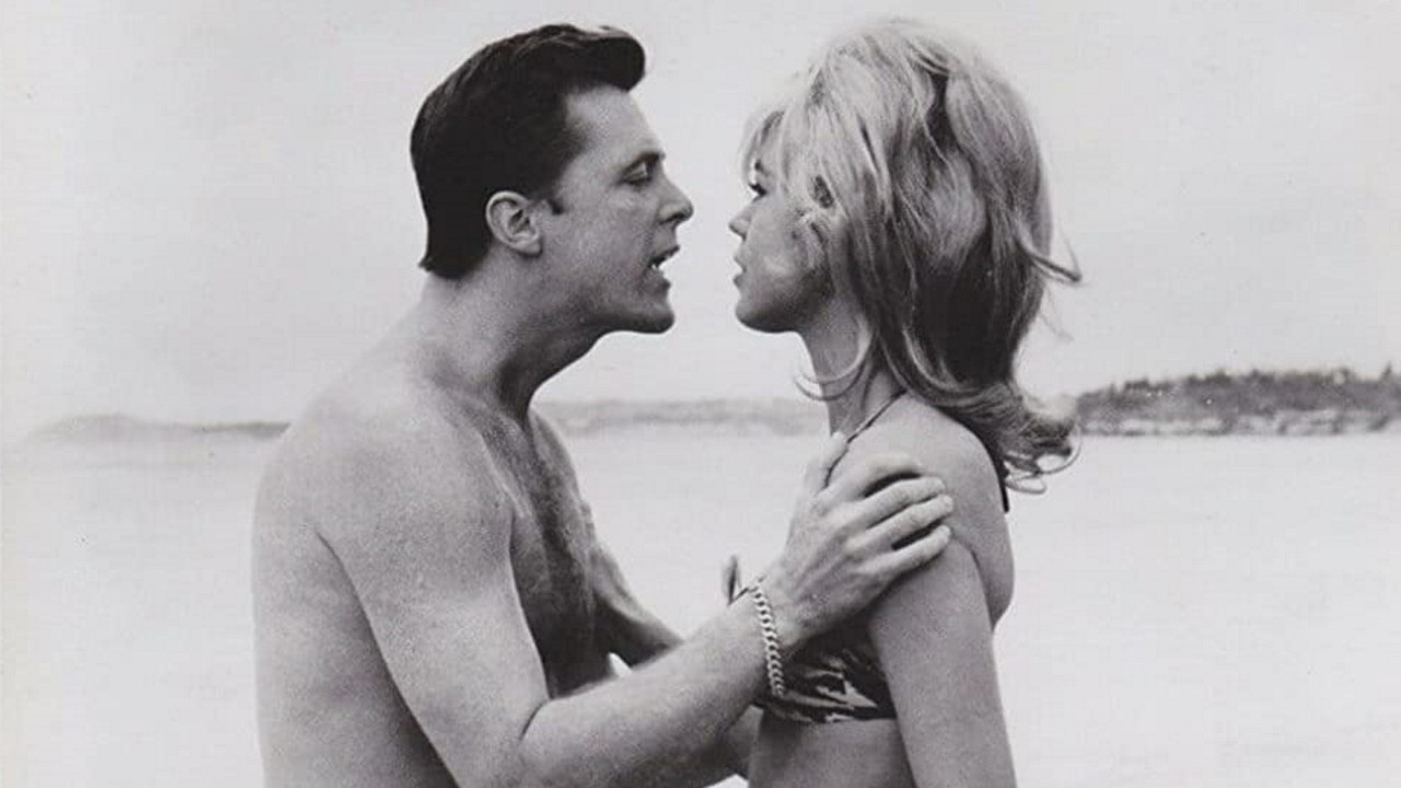 Beach Ball Background