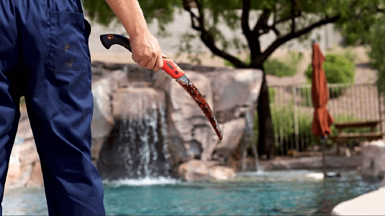 Pool Party Massacre Background