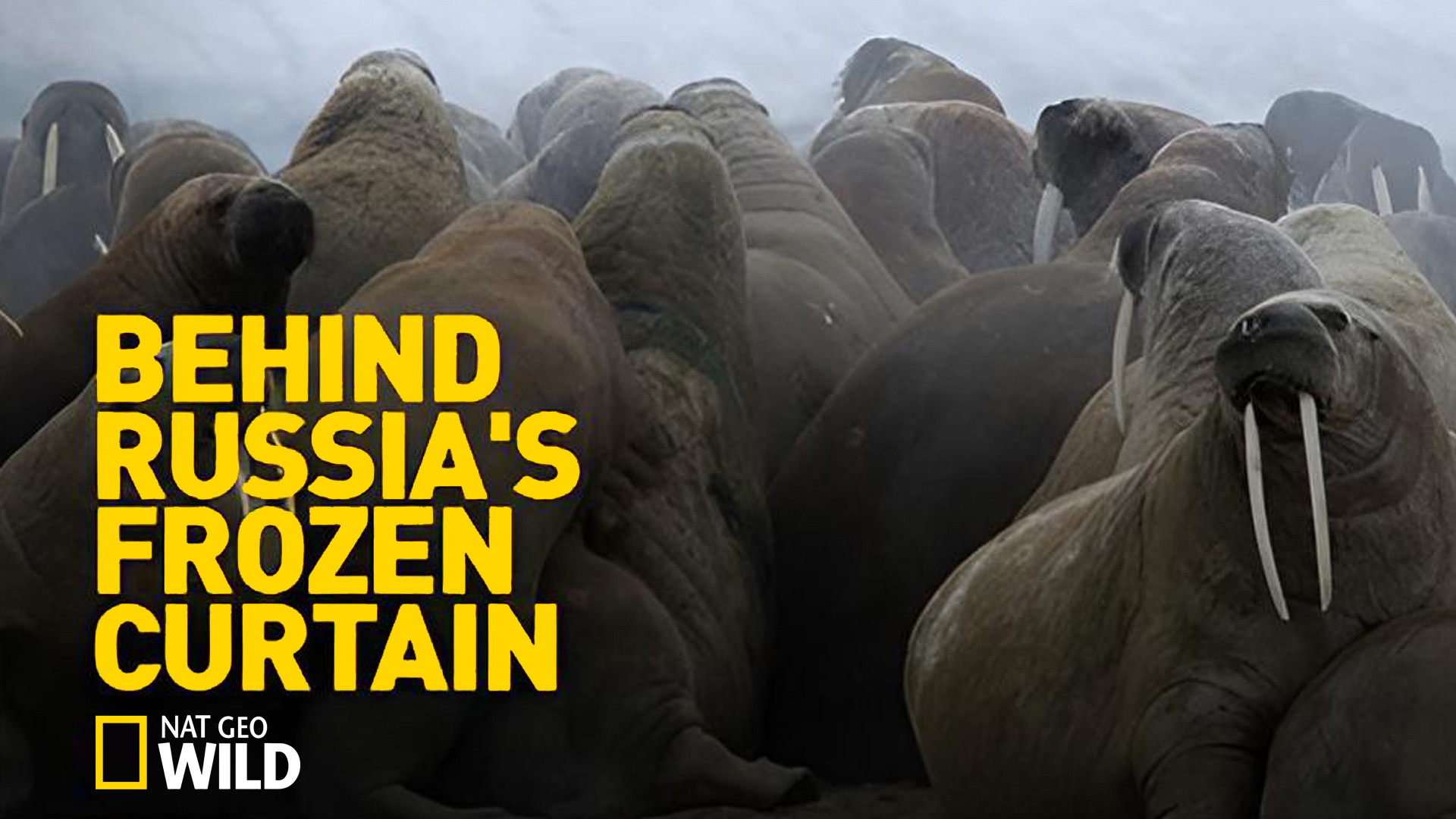 Behind Russia's Frozen Curtain Background