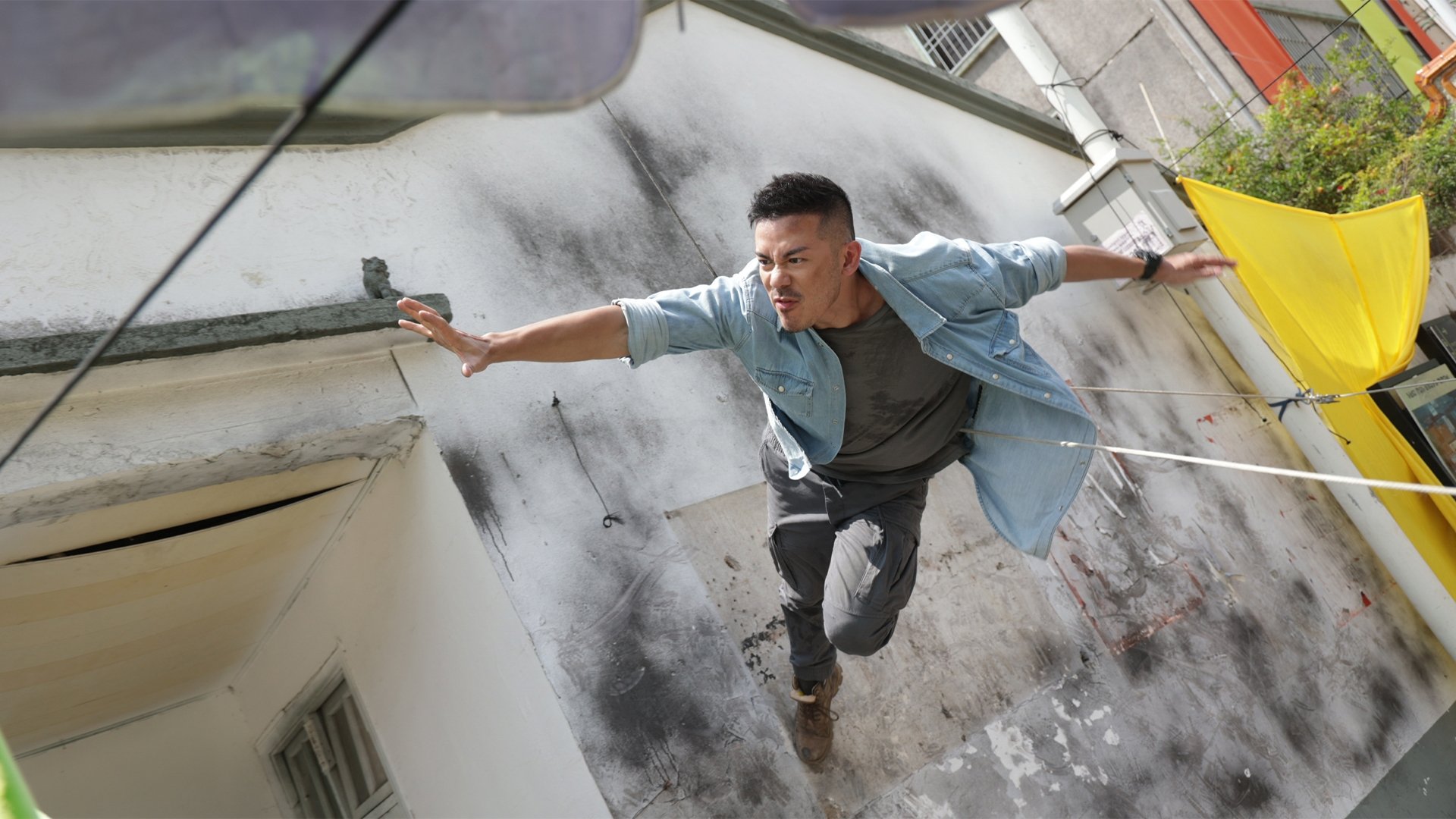 Crazy Lizard Background