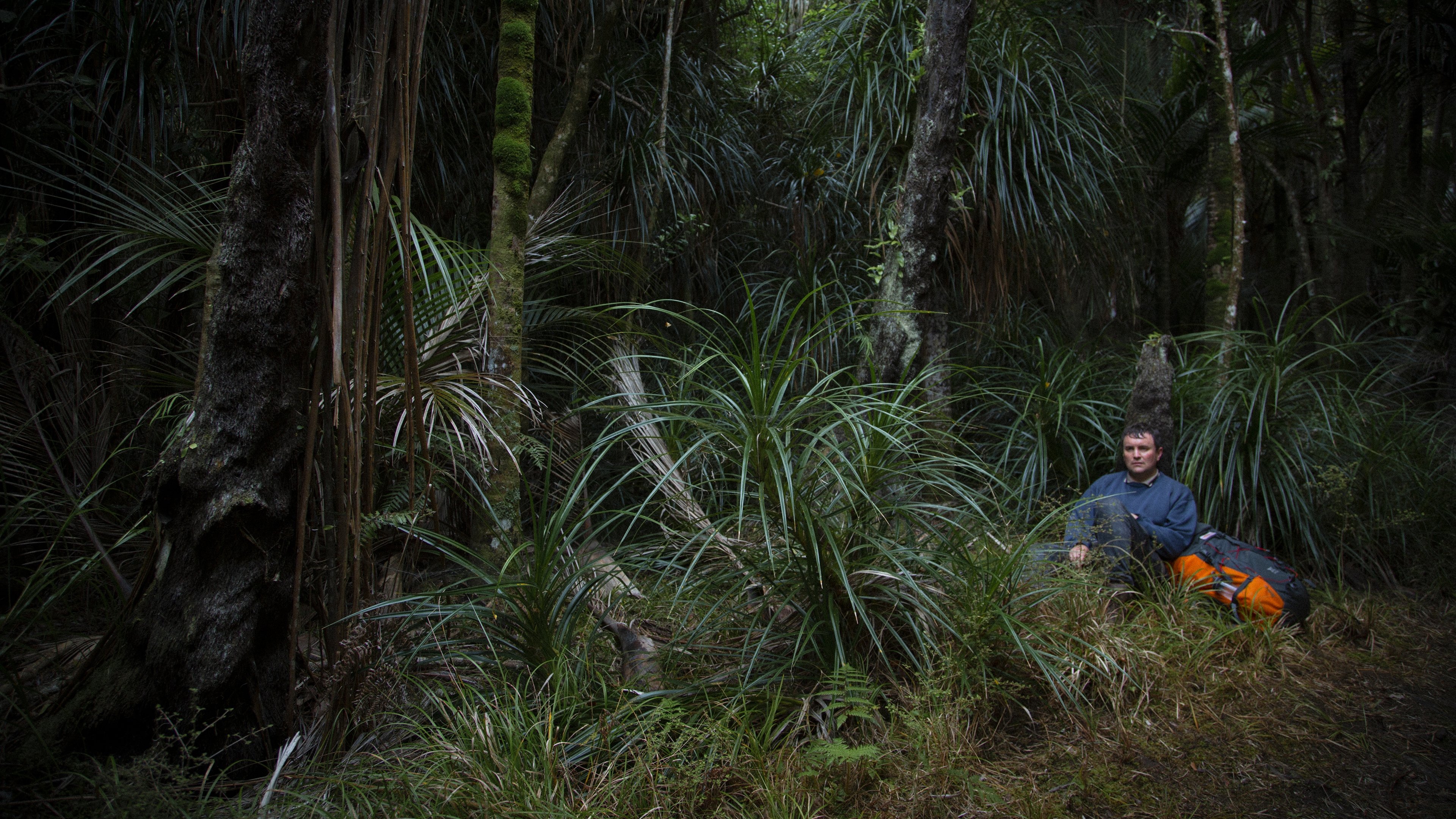 Loop Track Background