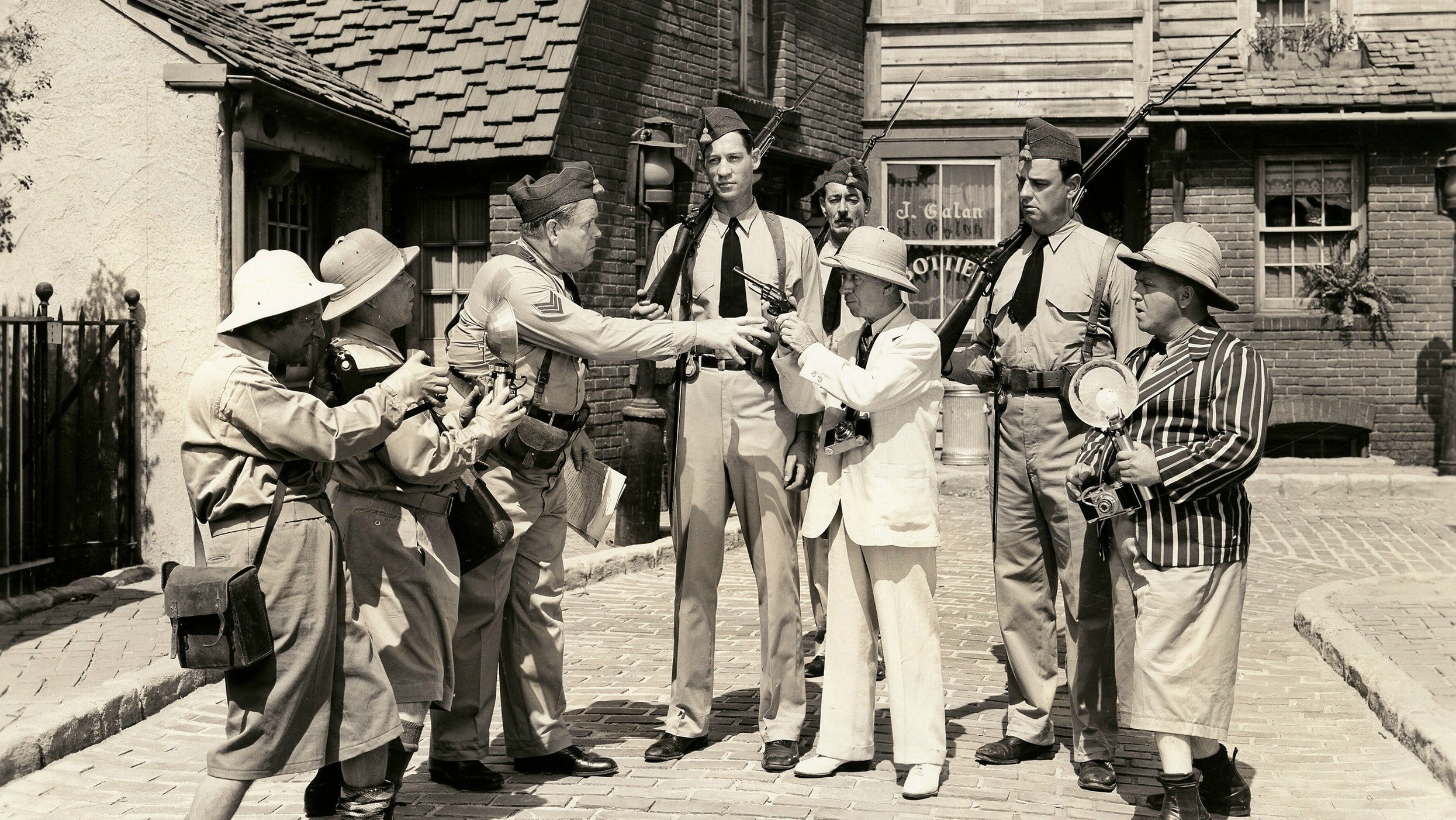 Dutiful But Dumb Background