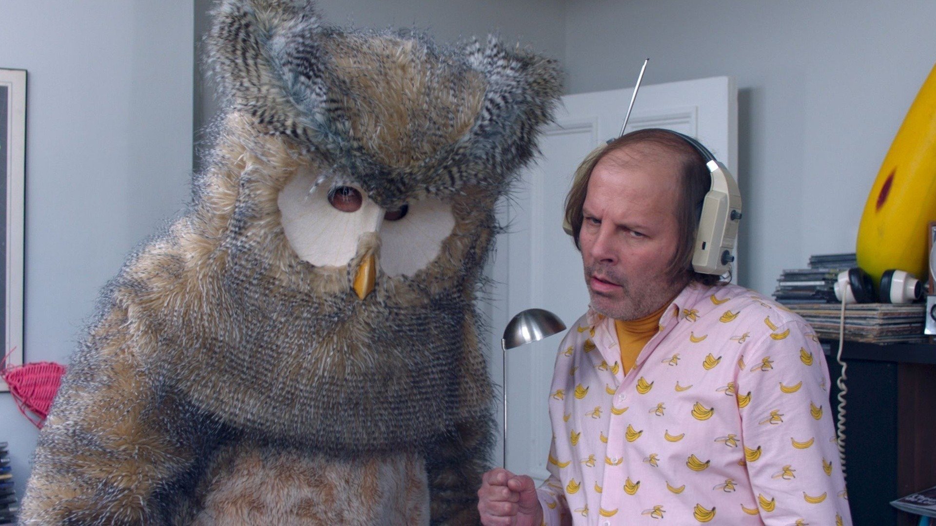 Owl You Need Is Love Background